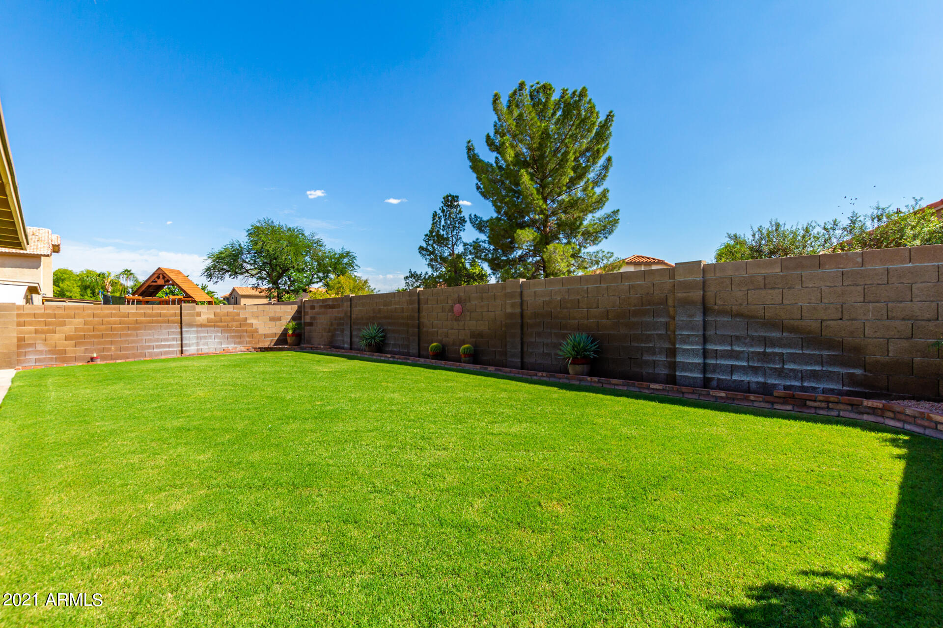 531 West Laredo Avenue Gilbert, AZ 85233 - Photo 33 of 35 Enough room for badminton or croquet!