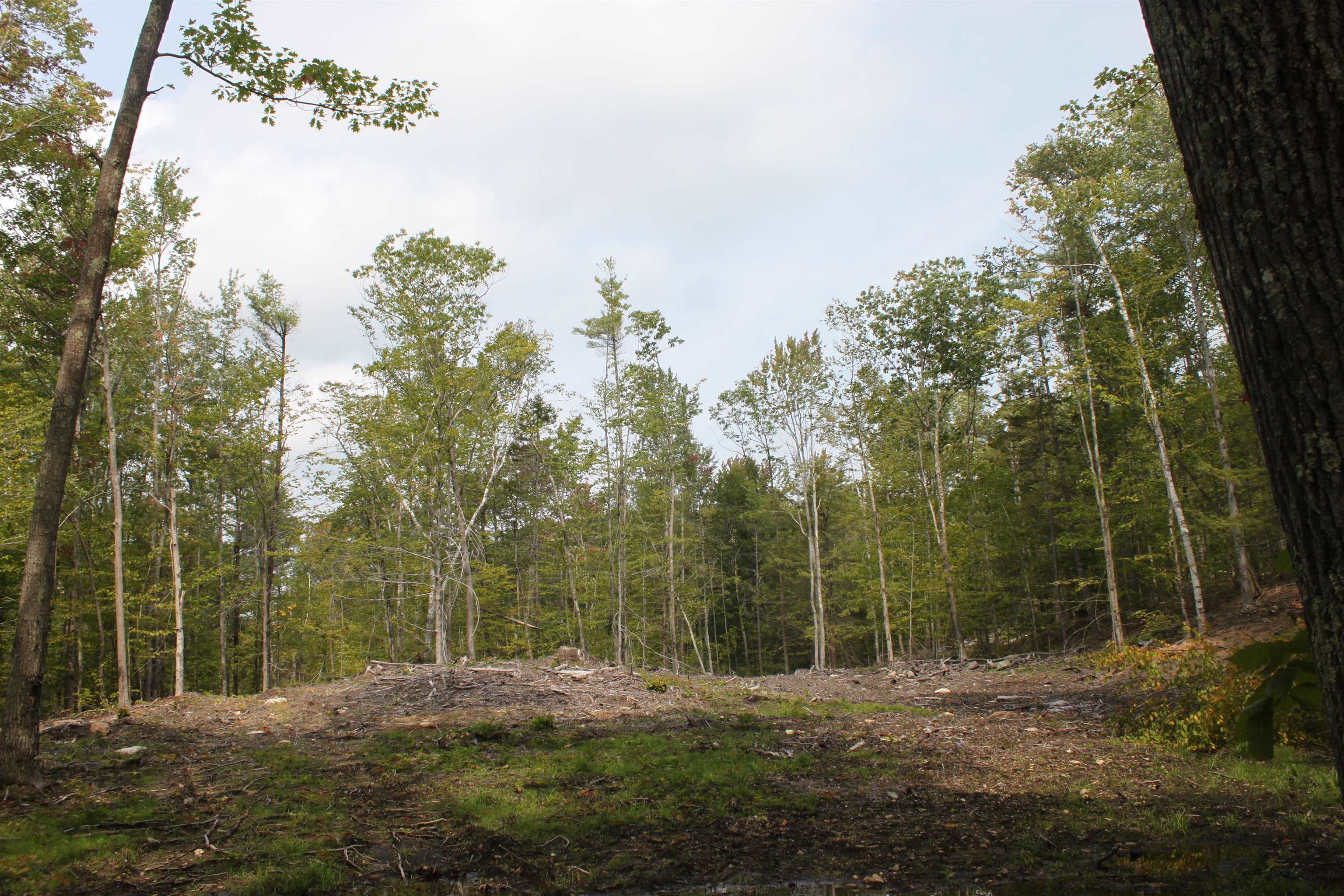 0 East Mountain Road, Unit R001023004 Peterborough, NH 03458 - Photo 1 of 10