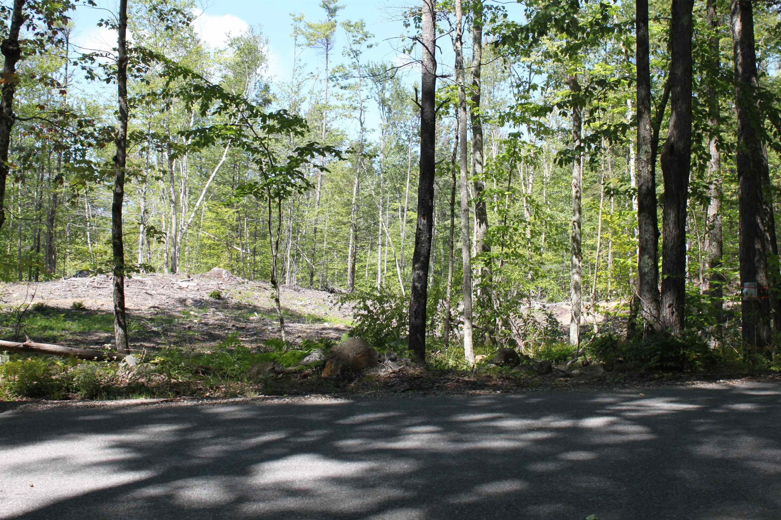 0 East Mountain Road, Unit R001023004 Peterborough, NH 03458 - Photo 3 of 10