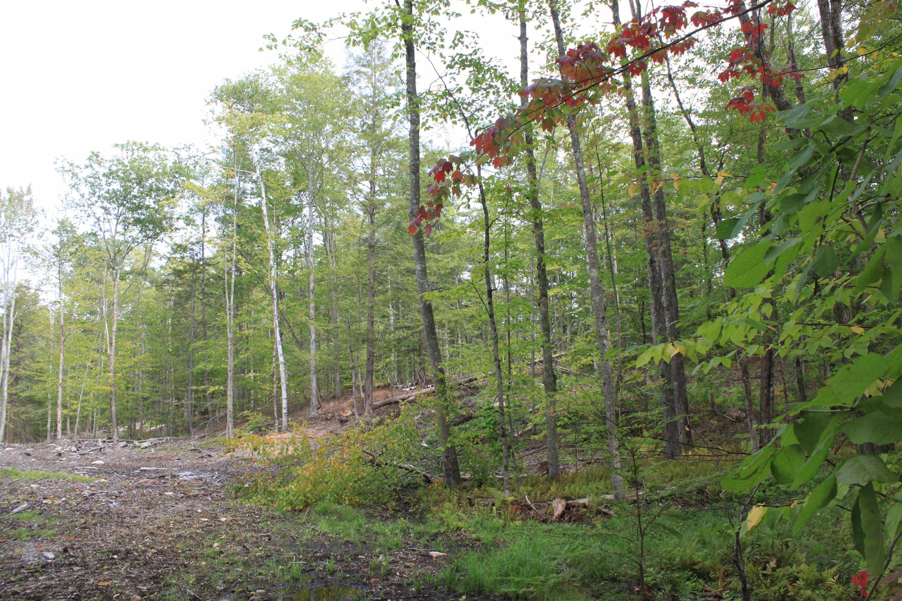 0 East Mountain Road, Unit R001023004 Peterborough, NH 03458 - Photo 5 of 10