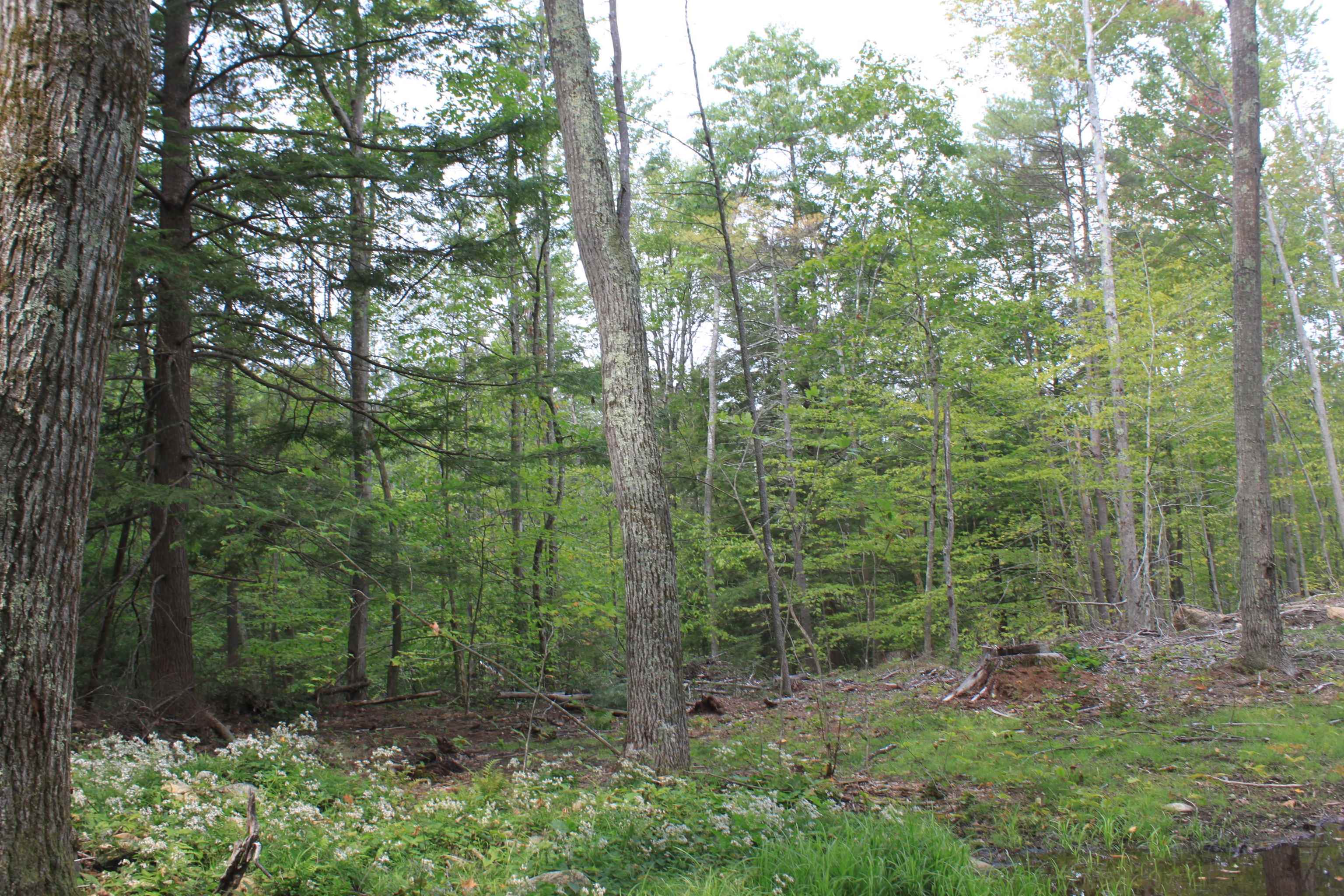 0 East Mountain Road, Unit R001023004 Peterborough, NH 03458 - Photo 6 of 10