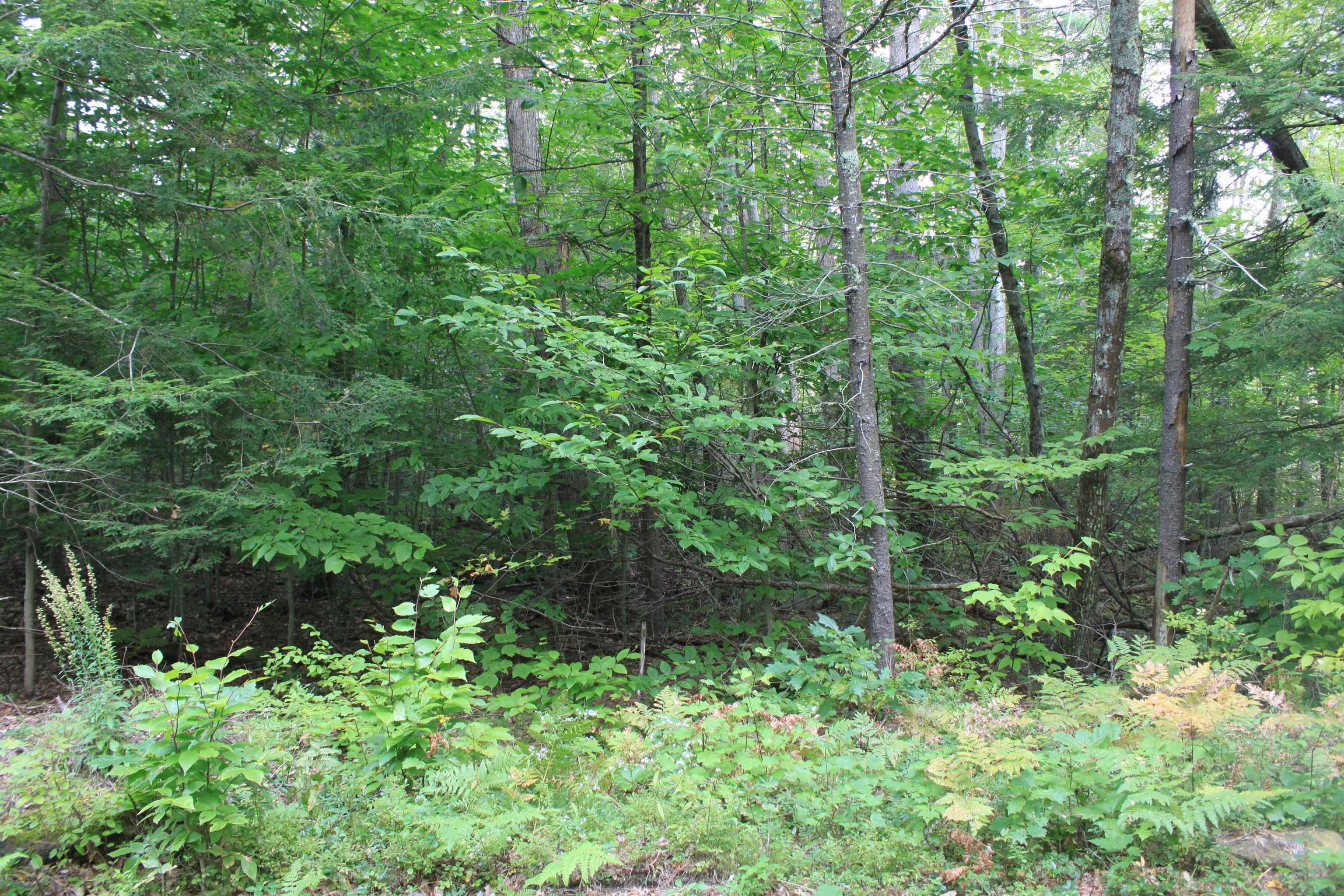 0 East Mountain Road, Unit R001023004 Peterborough, NH 03458 - Photo 7 of 10