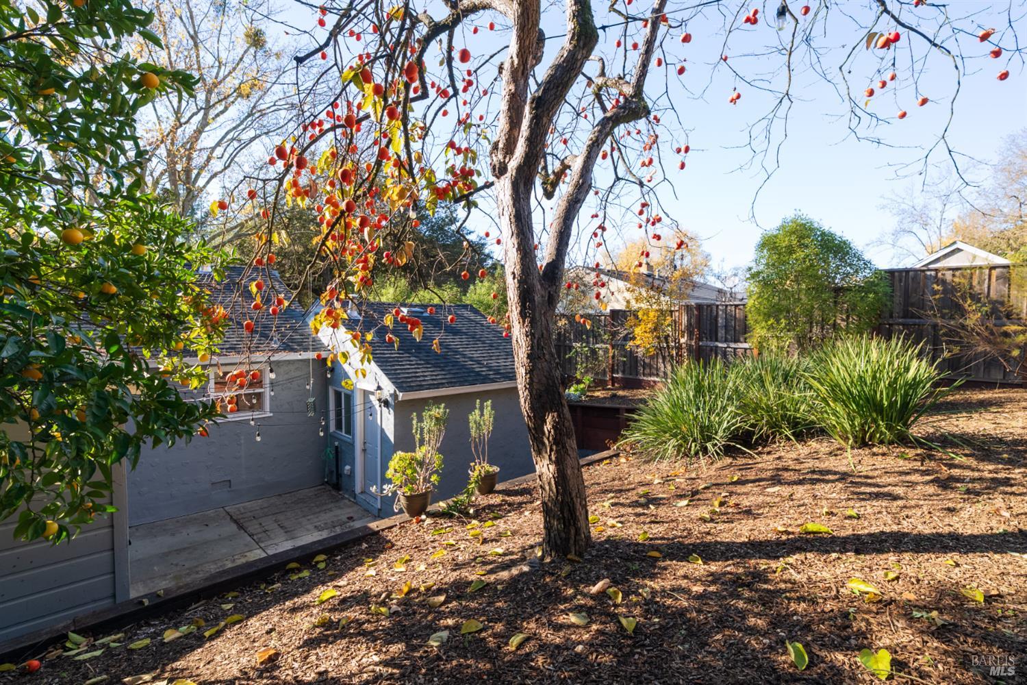 2136 Franklin Avenue Santa Rosa, CA 95404 - Photo 19 of 22 a view of a house with a tree