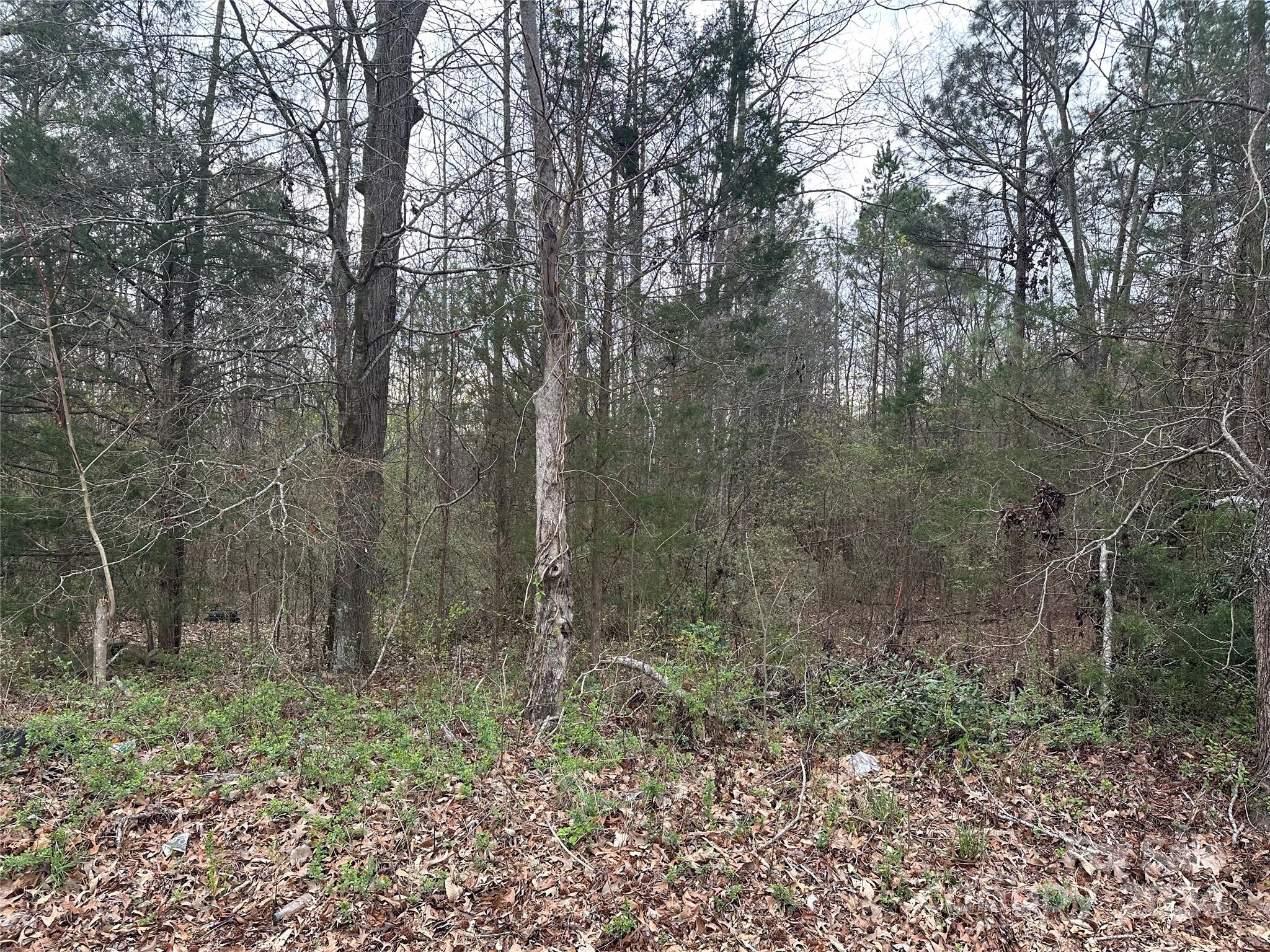 0 Zion Church Road Pacolet, SC 29372 - Photo 3 of 3
