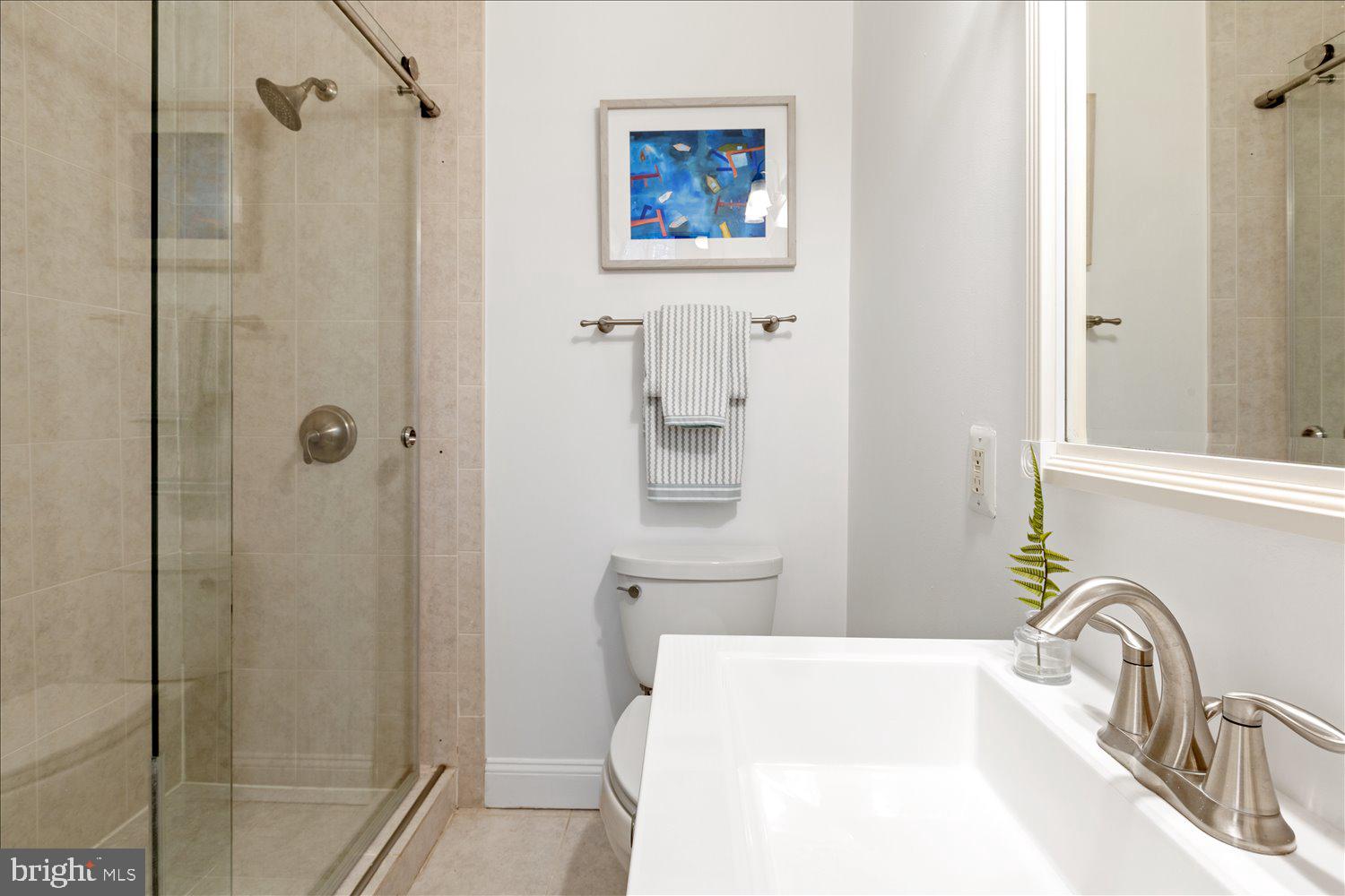 203 9th Street Southeast Washington, DC 20003 - Photo 17 of 50 First floor full bathroom