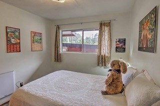 19-3940 Hoonanea Street Volcano, HI 96785 - Photo 21 of 30 a bedroom with a bed and a window