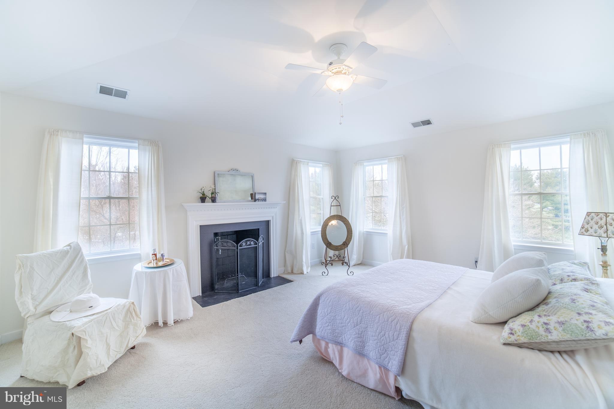 1760 Daisy Road Woodbine, MD 21797 - Photo 16 of 29 Bedroom (Master) with wood burning fireplace