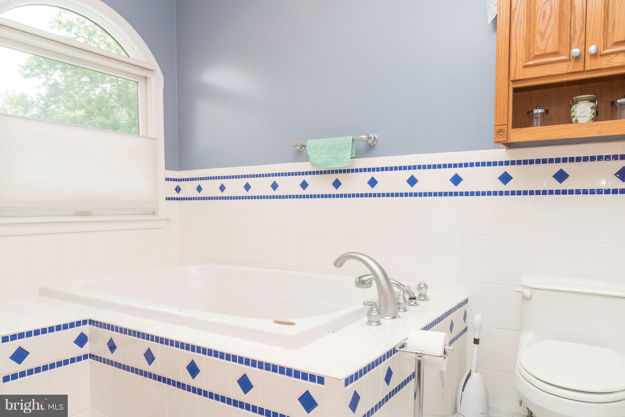 9409 Gunview Road Baltimore, MD 21236 - Photo 15 of 28 Bath (Master)