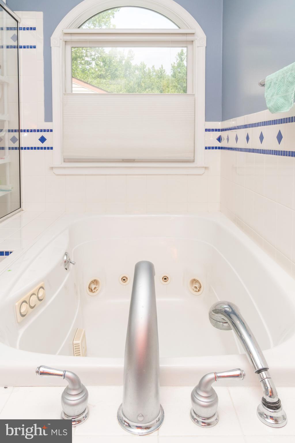 9409 Gunview Road Baltimore, MD 21236 - Photo 16 of 28 Bath (Master)