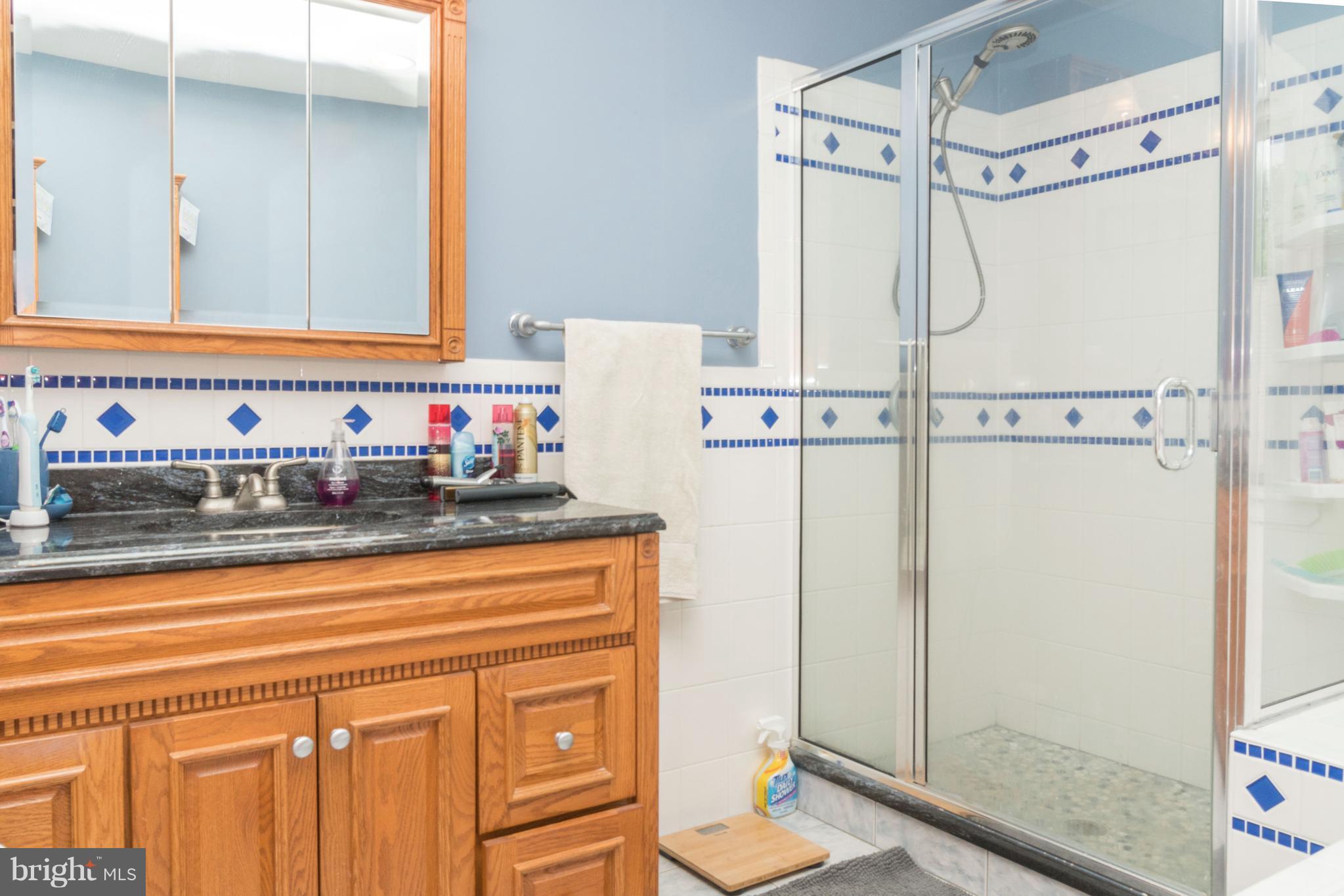 9409 Gunview Road Baltimore, MD 21236 - Photo 17 of 28 Bath (Master)