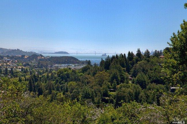 a view of a city with lush green forest