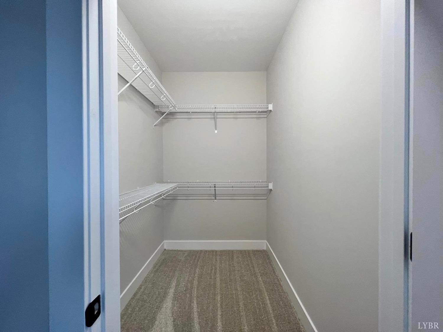 1300 Stoney Ridge Boulevard, Unit 101 Forest, VA 24551 - Photo 16 of 18 a view of walk in closet with empty racks