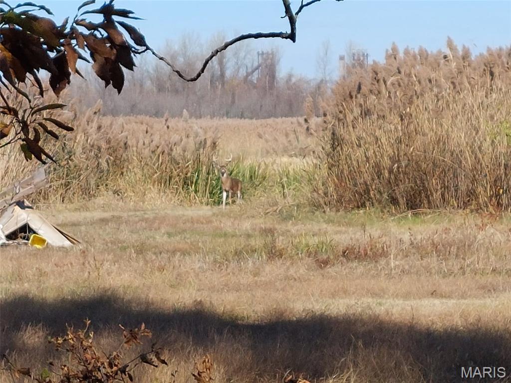 0 Bend Road Madison, IL 62060 - Photo 41 of 72