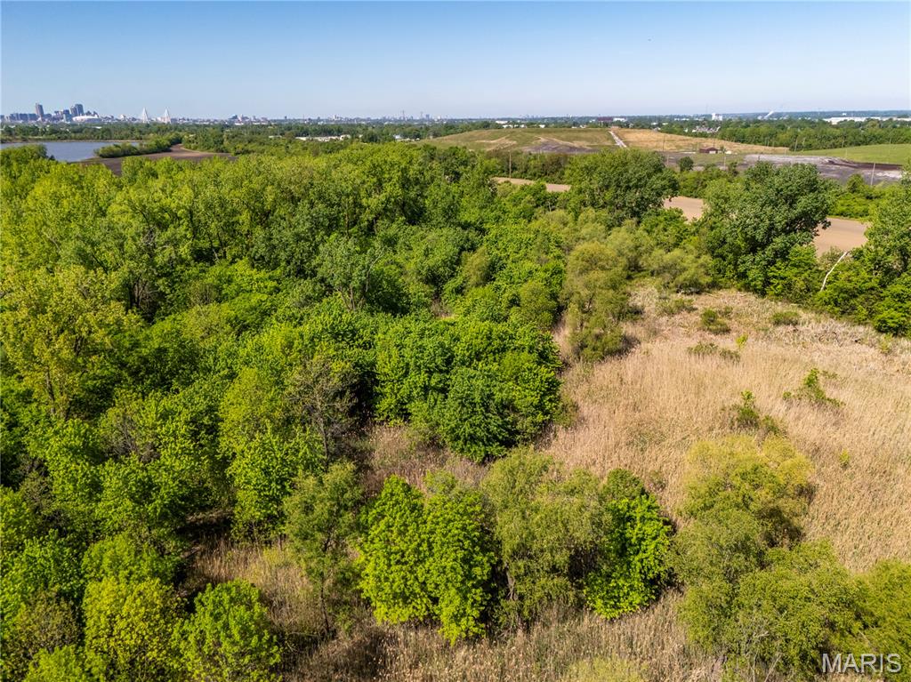 0 Bend Road Madison, IL 62060 - Photo 68 of 72