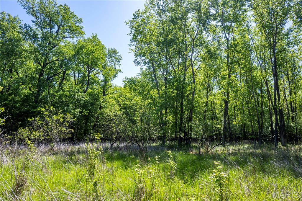 0 Bend Road Madison, IL 62060 - Photo 70 of 72