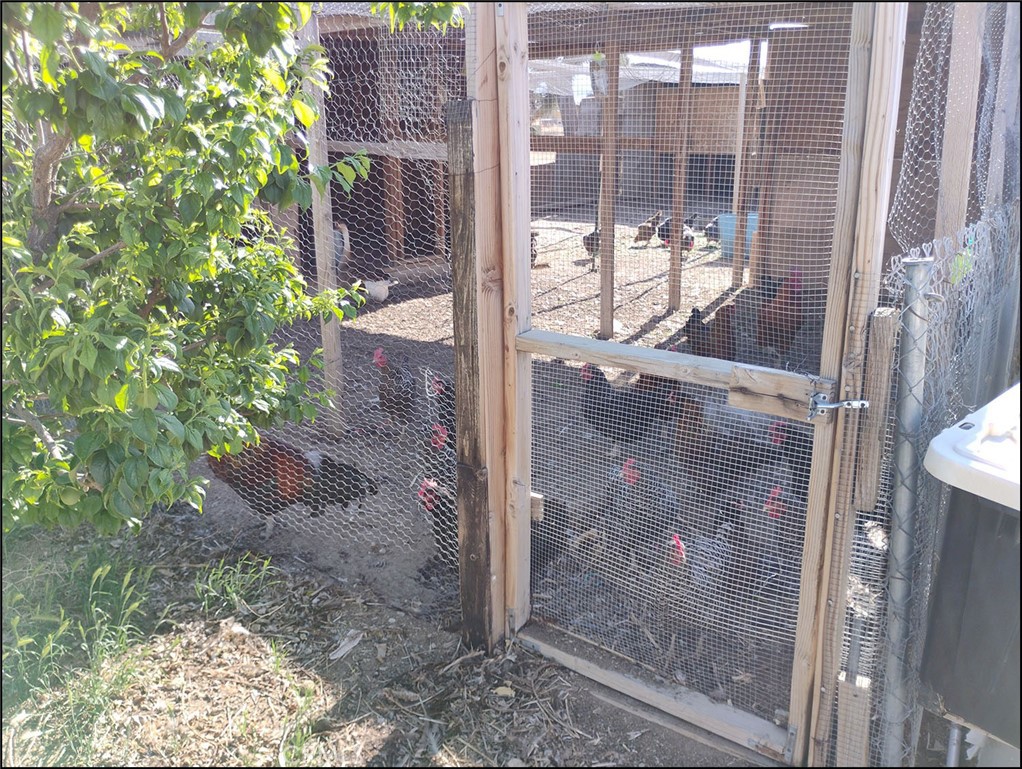 4077 Amador Road Phelan, CA 92371 - Photo 33 of 40 a view of a glass door