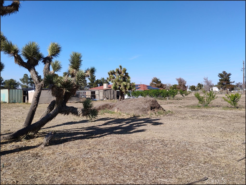 4077 Amador Road Phelan, CA 92371 - Photo 36 of 40 a view of a park with a garage