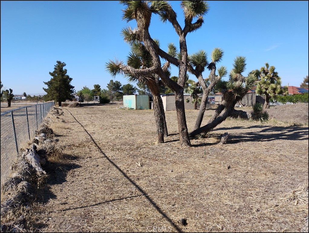 4077 Amador Road Phelan, CA 92371 - Photo 39 of 40 a view of a yard with table and chairs