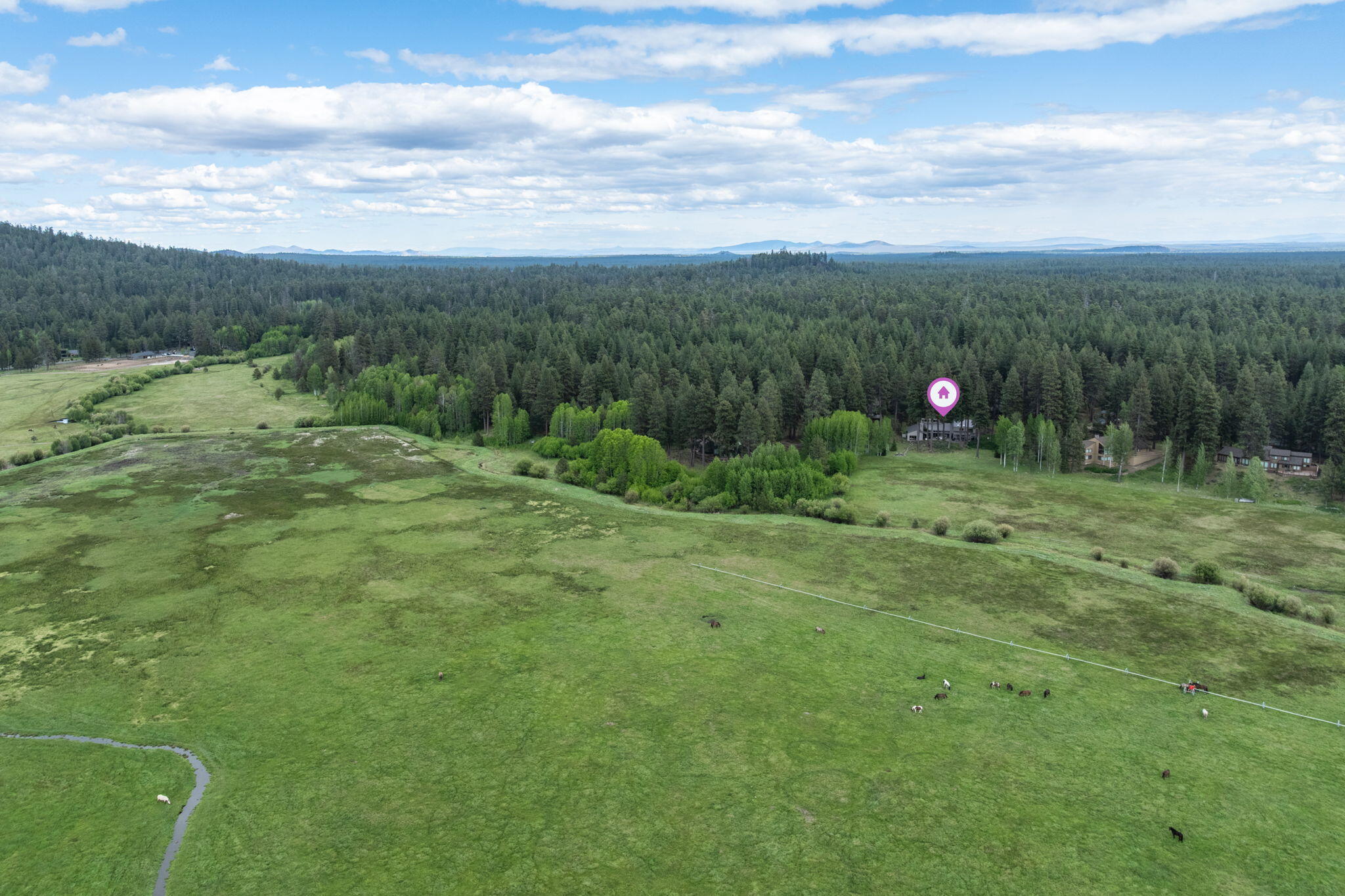 13729 Mentha, Unit EM 32 Black Butte Ranch, OR 97759 - Photo 68 of 76