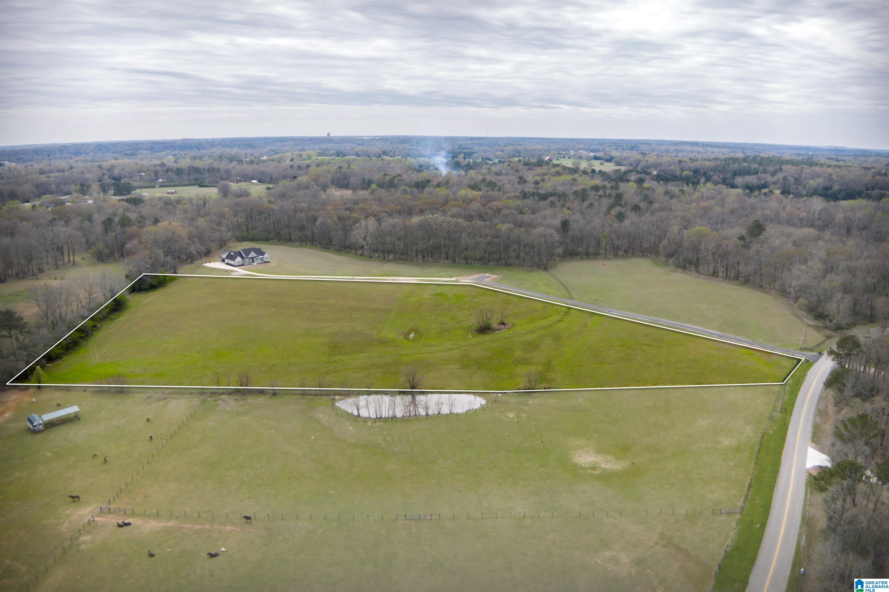 850 County Road 24, Unit 1B Montevallo, AL 35115 - Photo 4 of 24