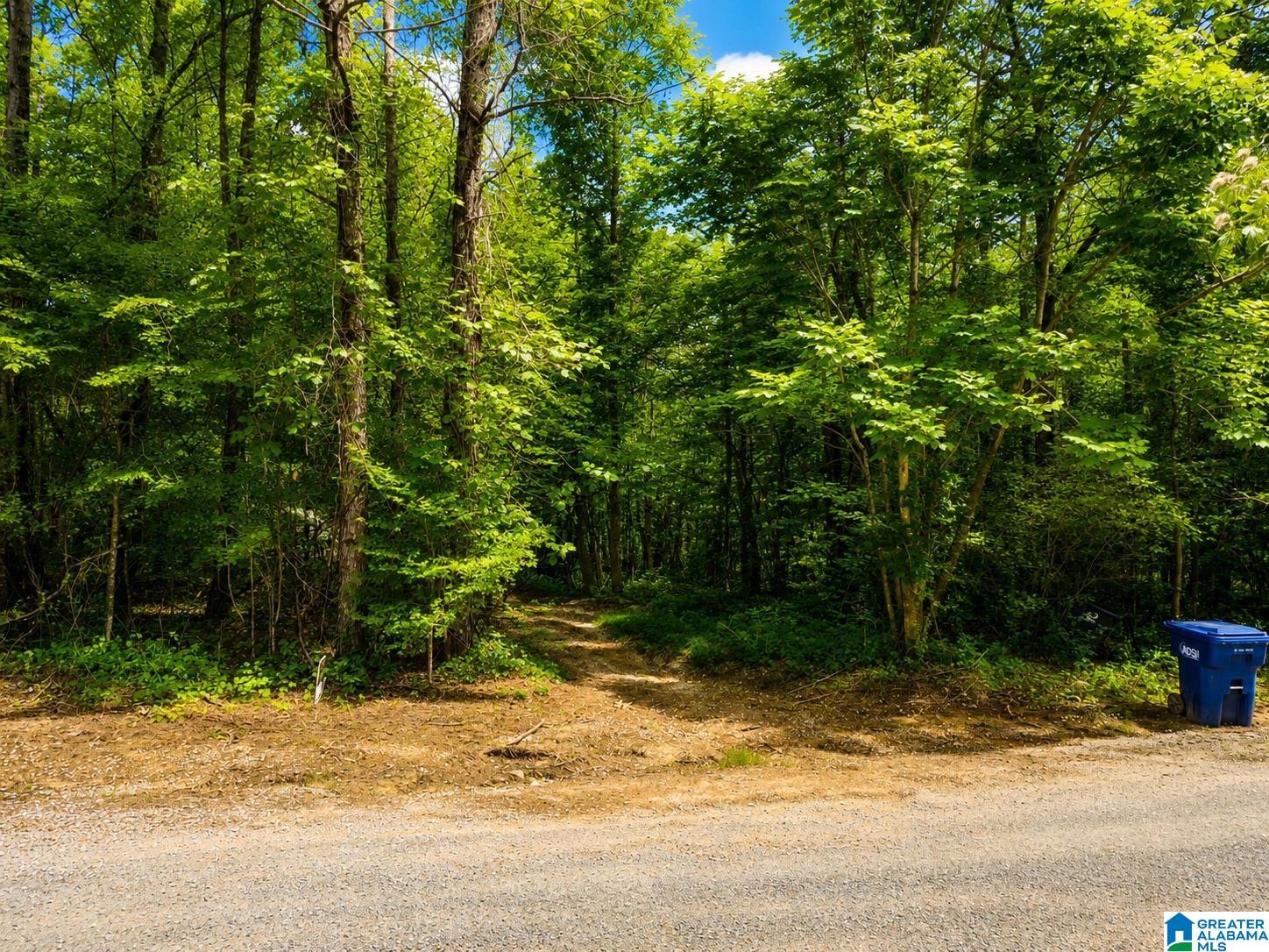 Off Of Penny Lane, Unit 54 Odenville, AL 35120 - Photo 16 of 25