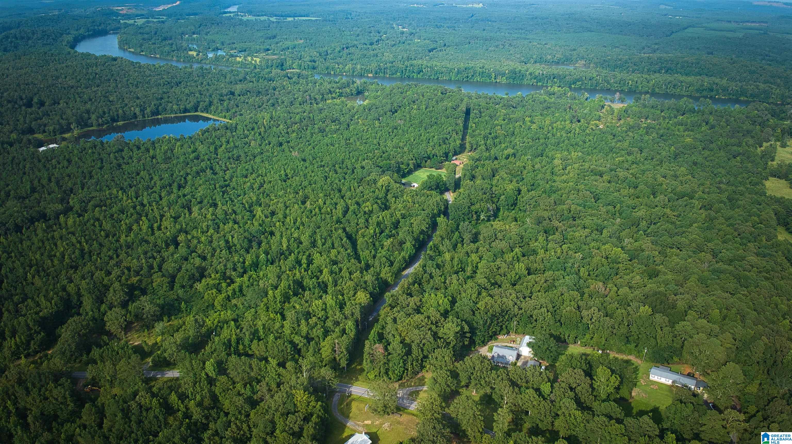 Lot 20 Wester Road, Unit LOT 20 Ragland, AL 35131 - Photo 44 of 68