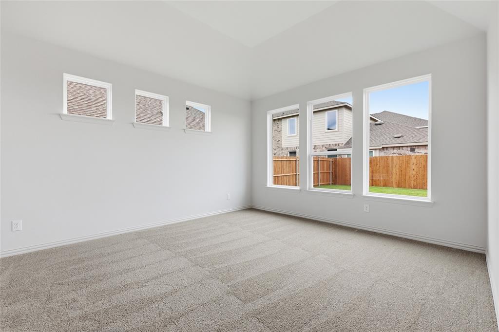 3737 Pitchfork Terrace Anna, TX 75409 - Photo 13 of 33 Spacious room featuring neutral carpeting, light-toned walls, and multiple windows