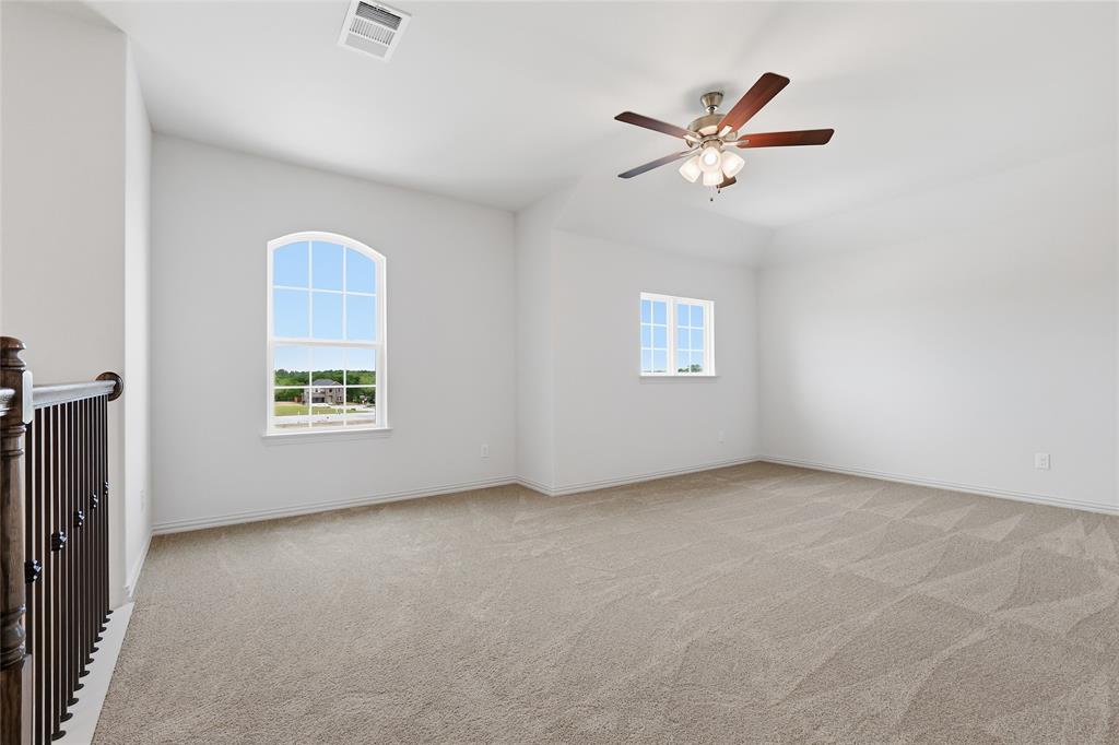 3737 Pitchfork Terrace Anna, TX 75409 - Photo 21 of 33 Spacious carpeted room featuring a vaulted ceiling and an arched window