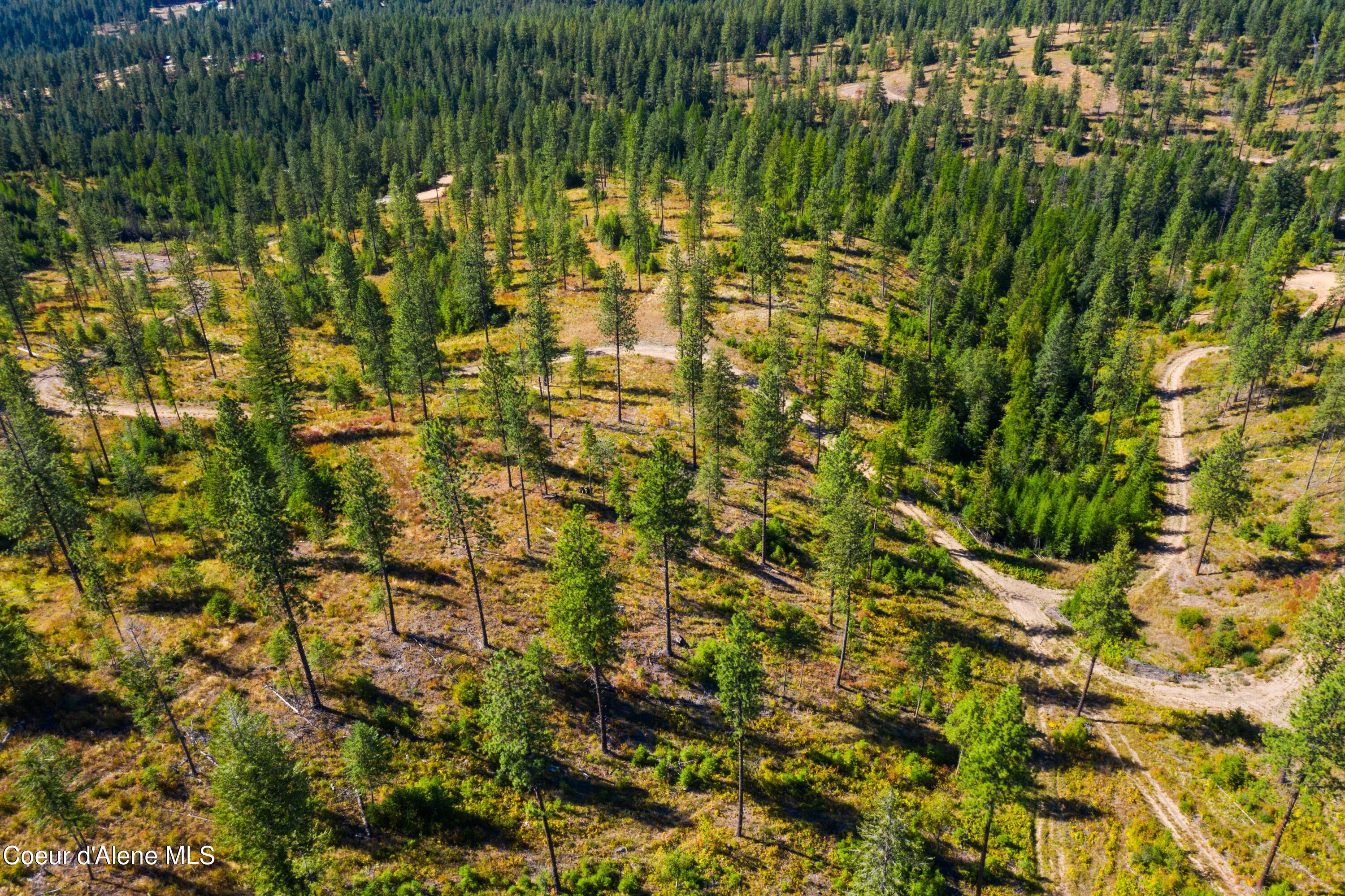 Nna Nna Stone Road Blanchard, ID 83804 - Photo 13 of 19 EasyStoneLOT_21