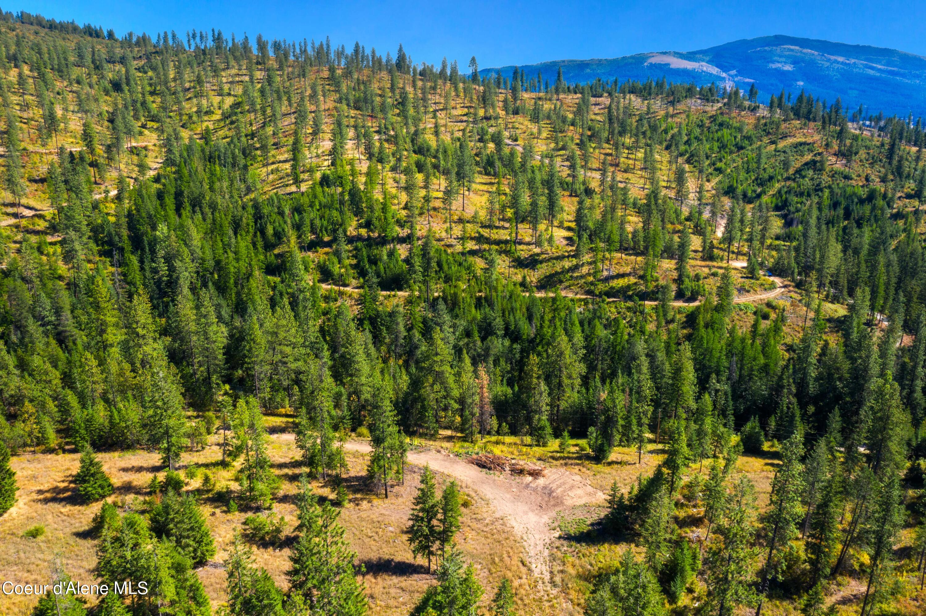 Nna Nna Stone Road Blanchard, ID 83804 - Photo 15 of 19 EasyStoneLOT_26