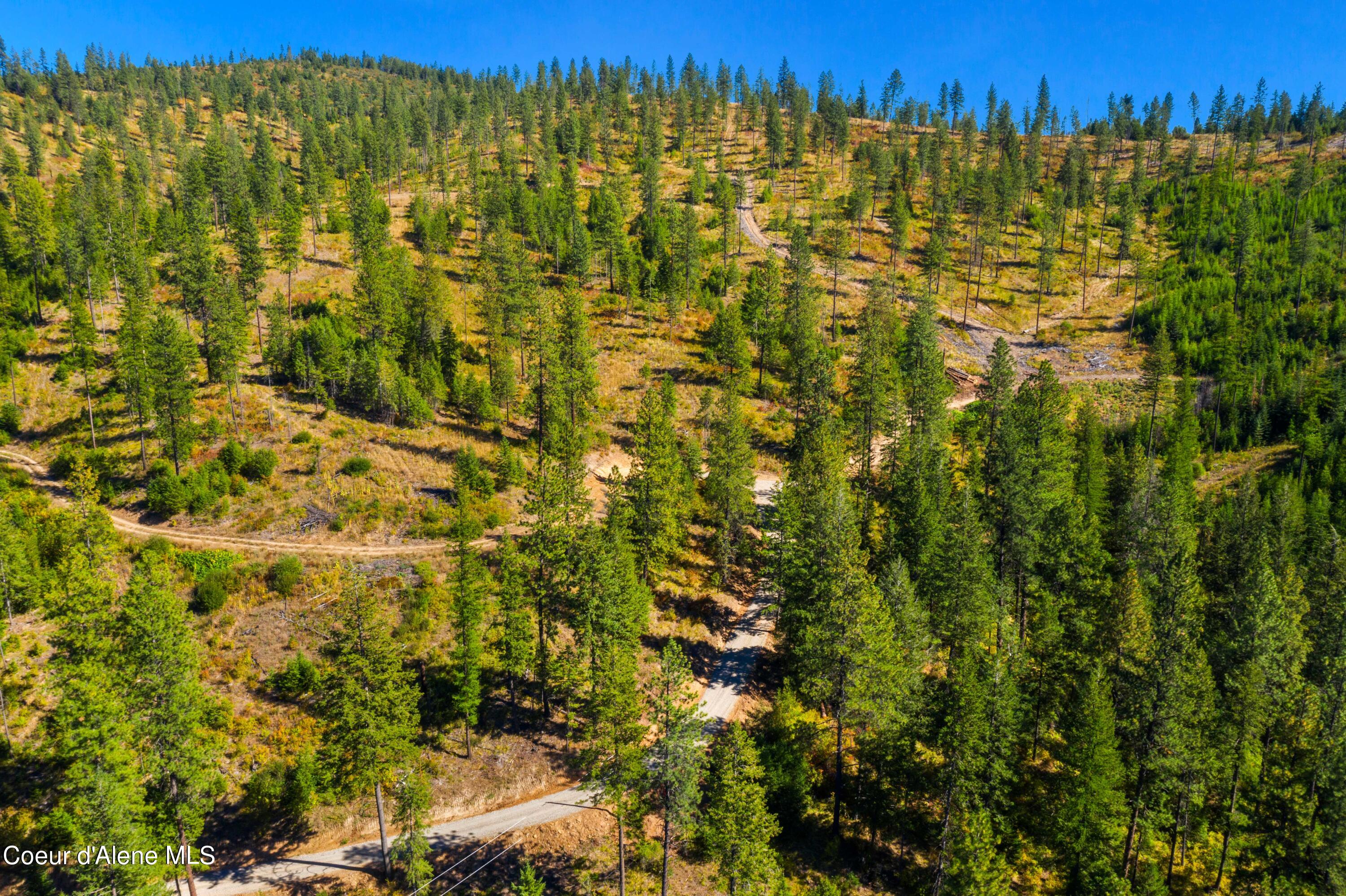 Nna Nna Stone Road Blanchard, ID 83804 - Photo 16 of 19 EasyStoneLOT_27