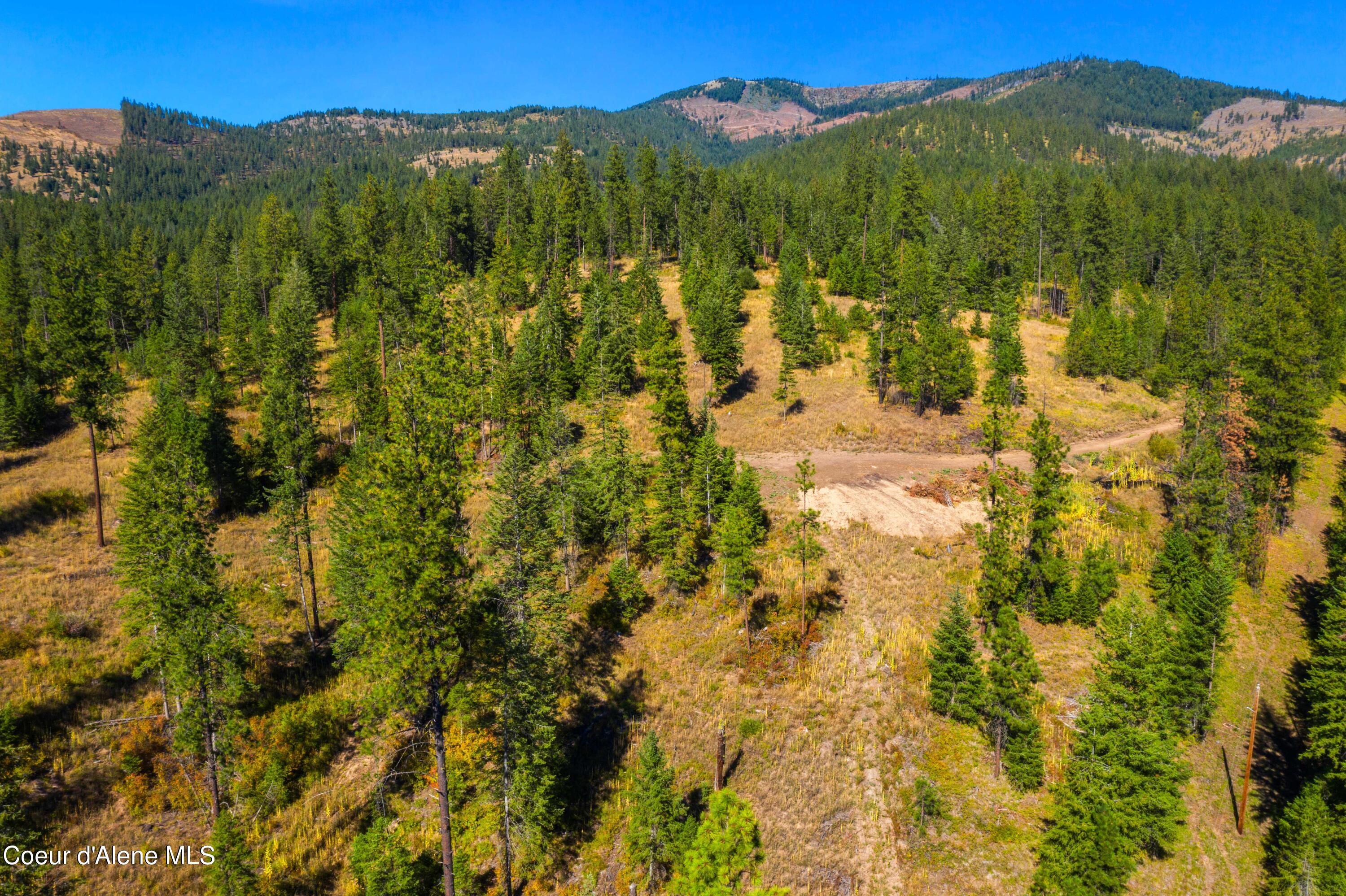 Nna Nna Stone Road Blanchard, ID 83804 - Photo 17 of 19 EasyStoneLOT_28