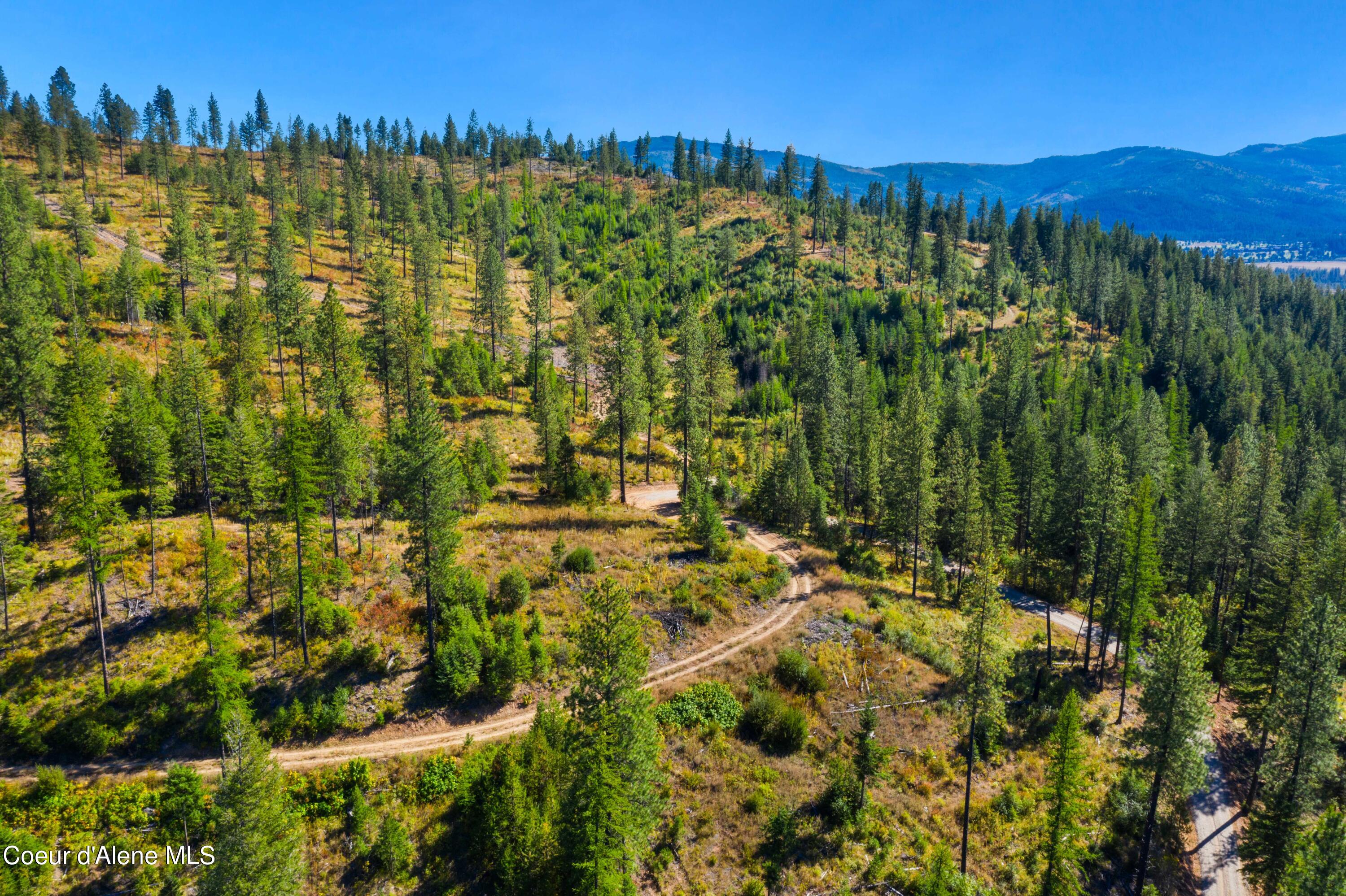 Nna Nna Stone Road Blanchard, ID 83804 - Photo 18 of 19 EasyStoneLOT_38