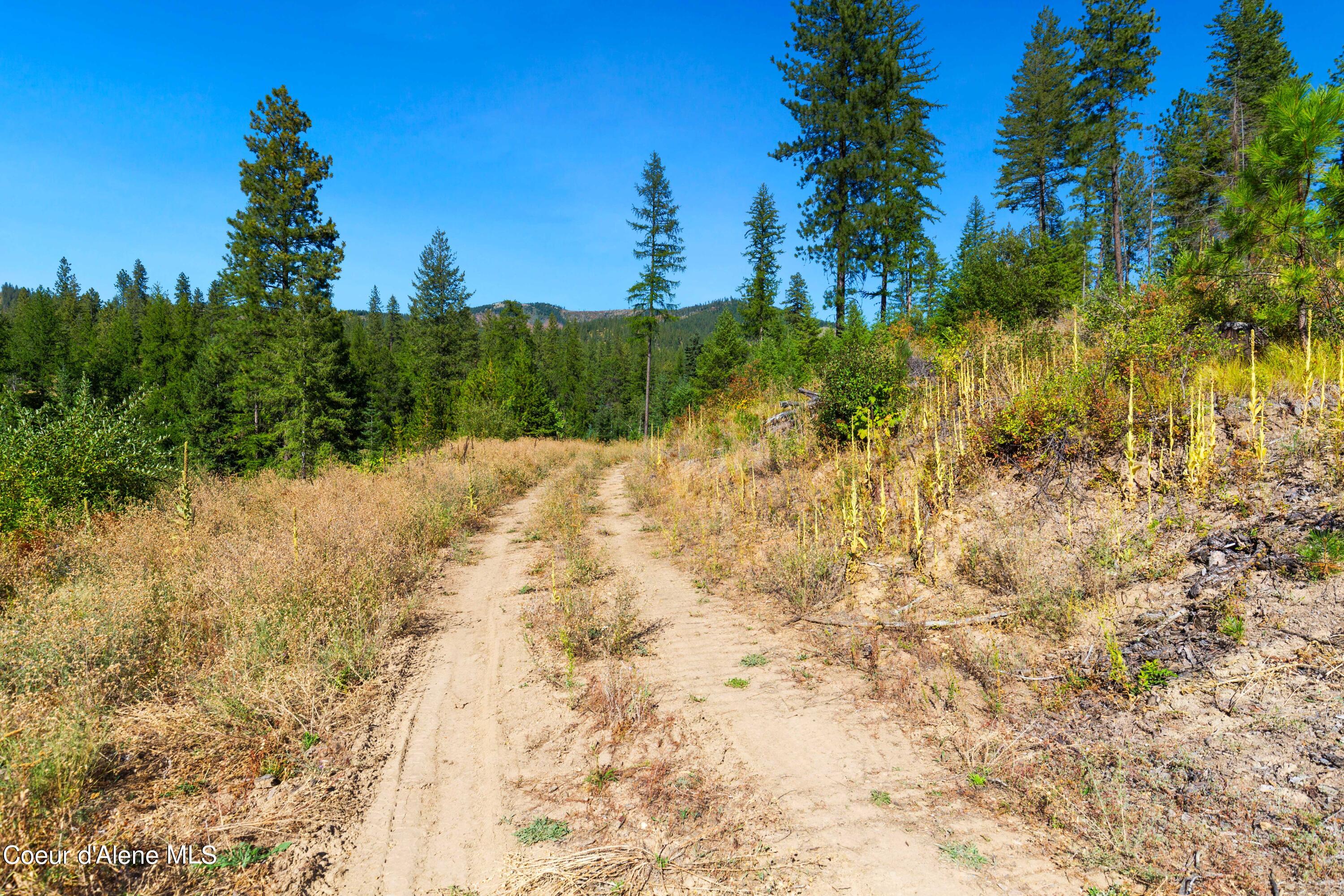Nna Nna Stone Road Blanchard, ID 83804 - Photo 2 of 19 EasyStoneLOT_02