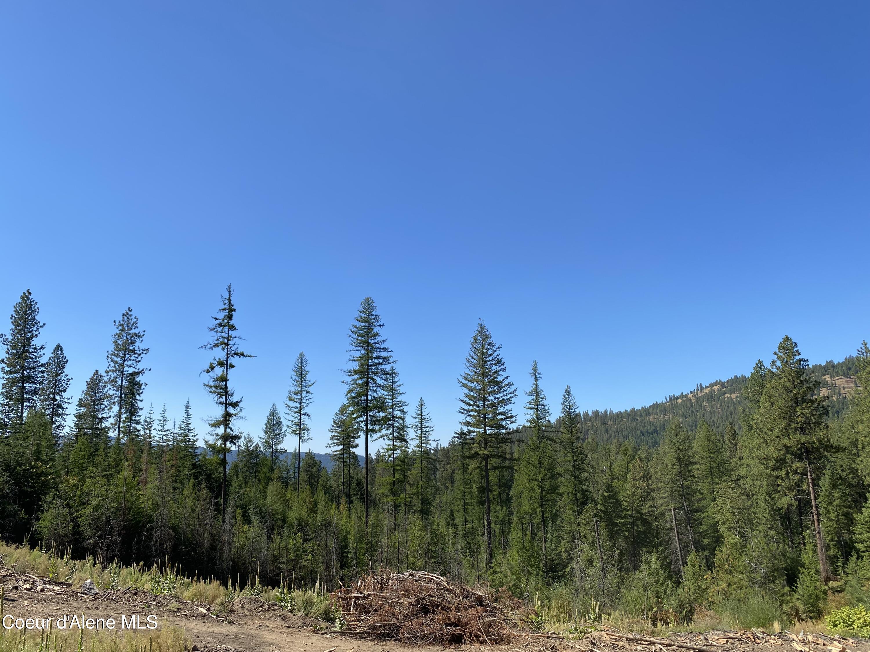 Nna Nna Stone Road Blanchard, ID 83804 - Photo 5 of 19 IMG_4134