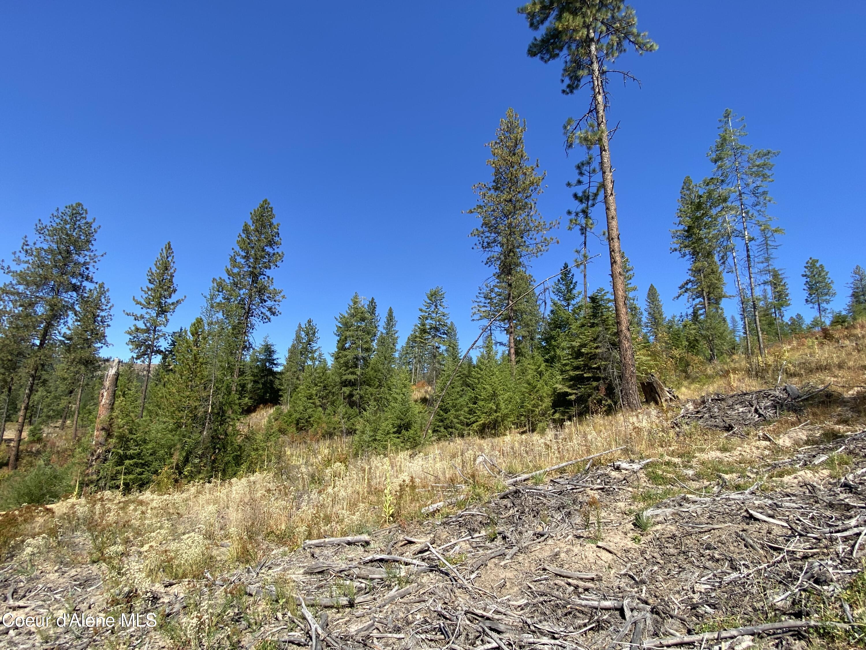 Nna Nna Stone Road Blanchard, ID 83804 - Photo 6 of 19 IMG_4135