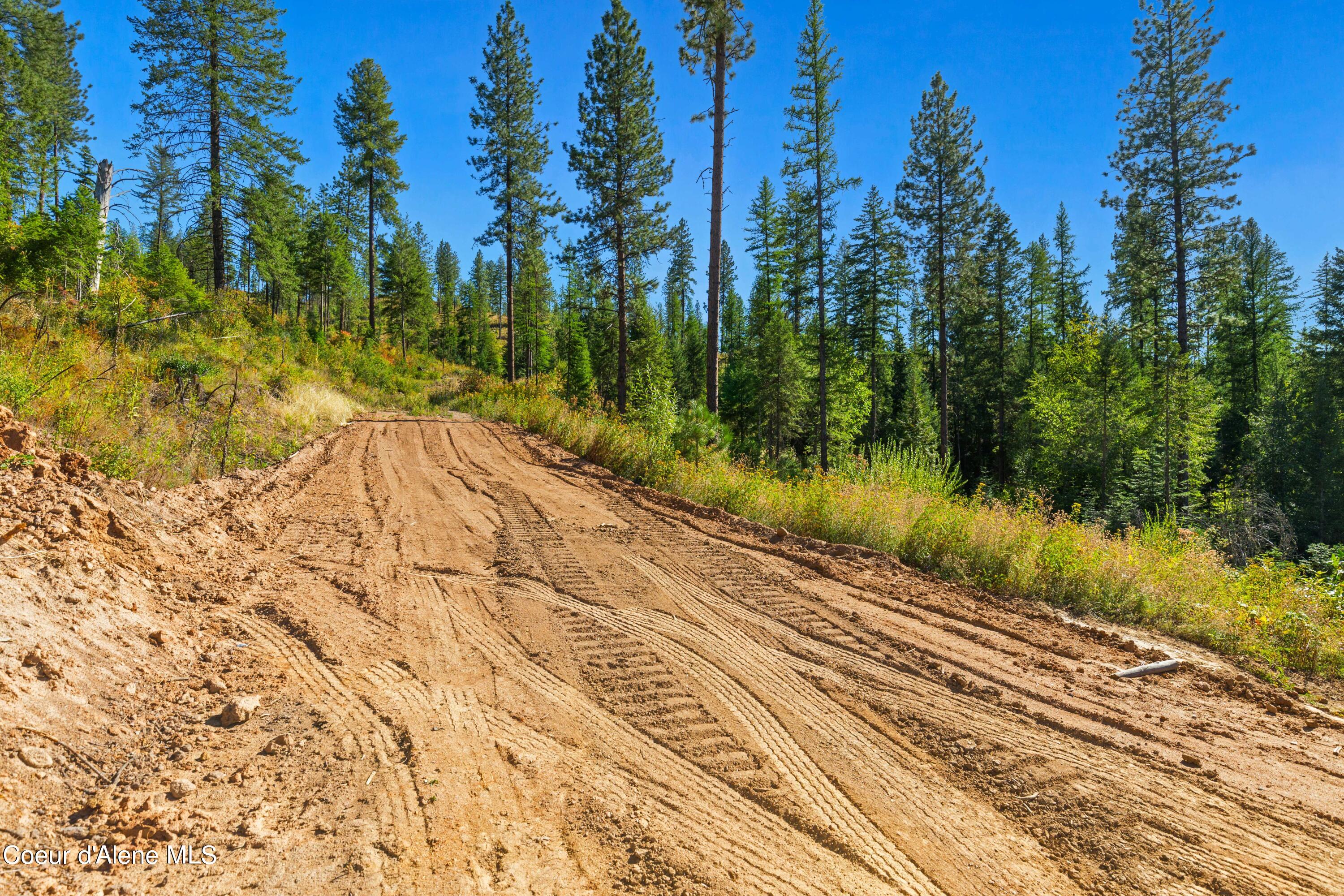 Nna Nna Stone Road Blanchard, ID 83804 - Photo 9 of 19 EasyStoneLOT_09