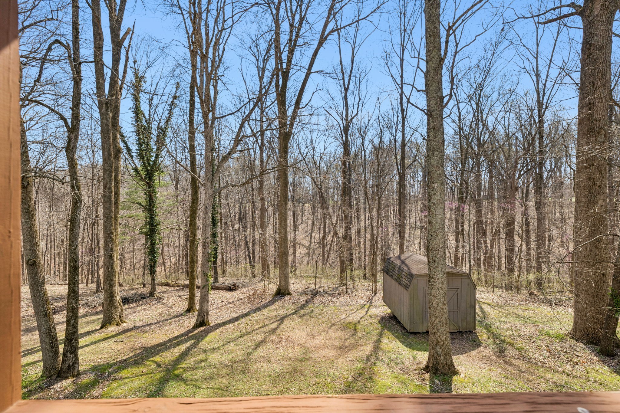 1128 Stillhouse Road White House, TN 37188 - Photo 35 of 46