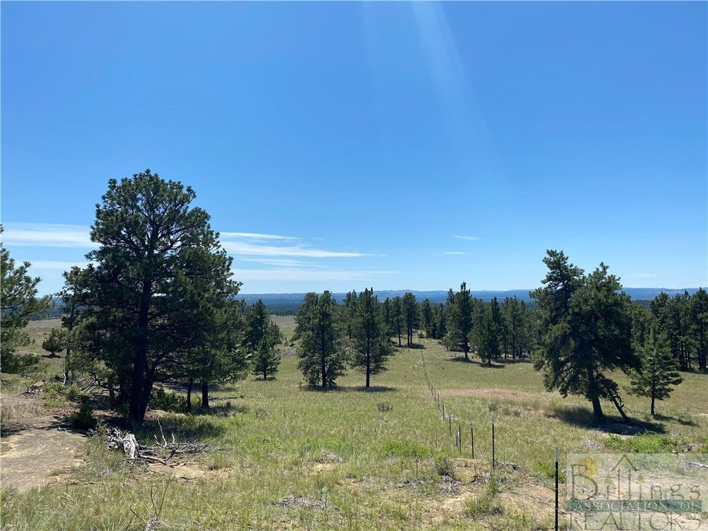 Lot 60 North Delphia Road Roundup, MT 59072 - Photo 1 of 1 Gallery Image 1