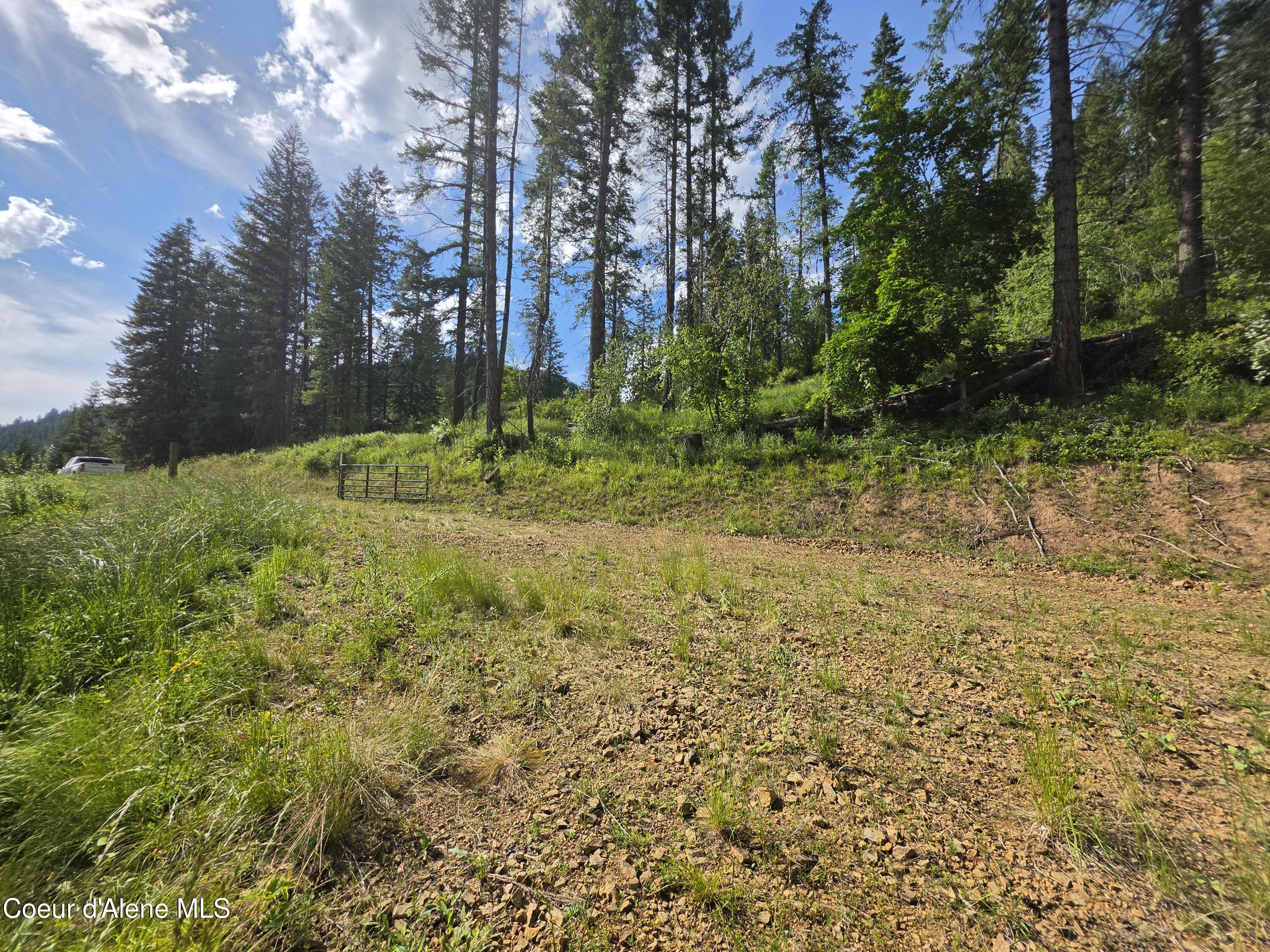480 Dunn Peak Road Avery, ID 83802 - Photo 31 of 66 2nd Building Site