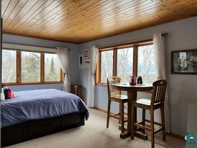 208 Norbakken Road Lutsen, MN 55612 - Photo 31 of 50 Loft