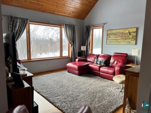 208 Norbakken Road Lutsen, MN 55612 - Photo 10 of 50 Living Area