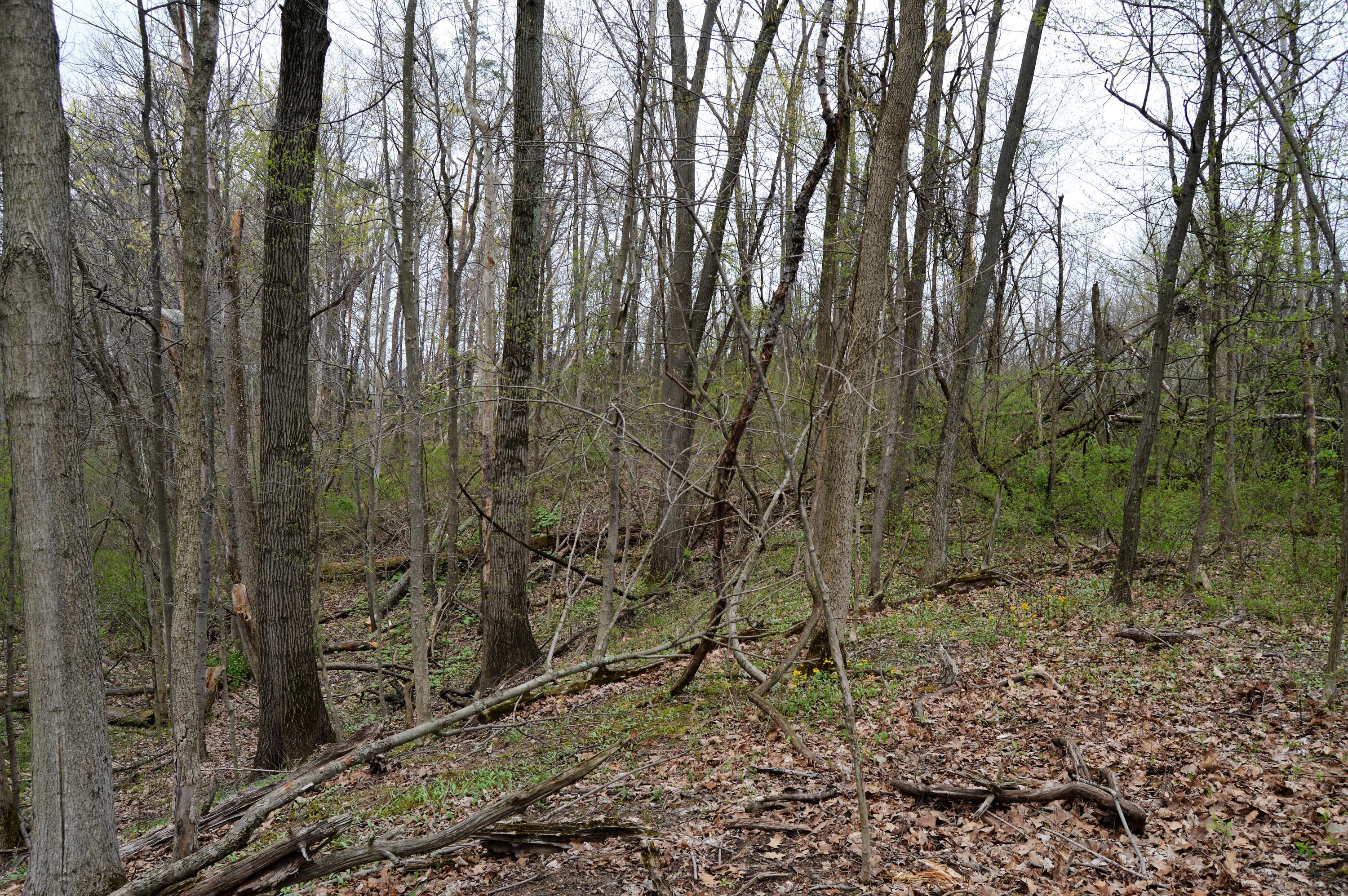 1 Toll Gate Road Pickerington, OH 43147 - Photo 3 of 4