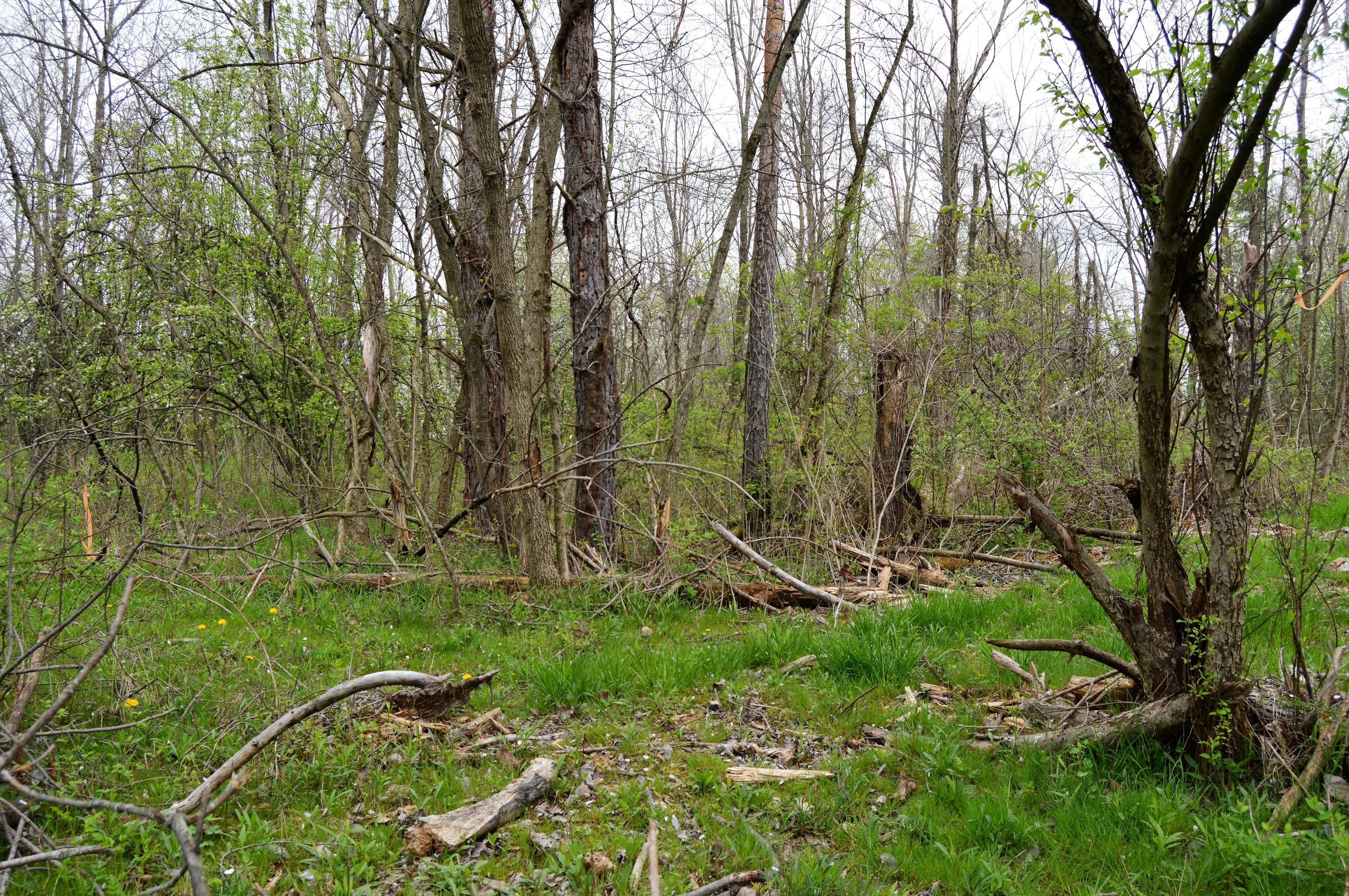 1 Toll Gate Road Pickerington, OH 43147 - Photo 4 of 4