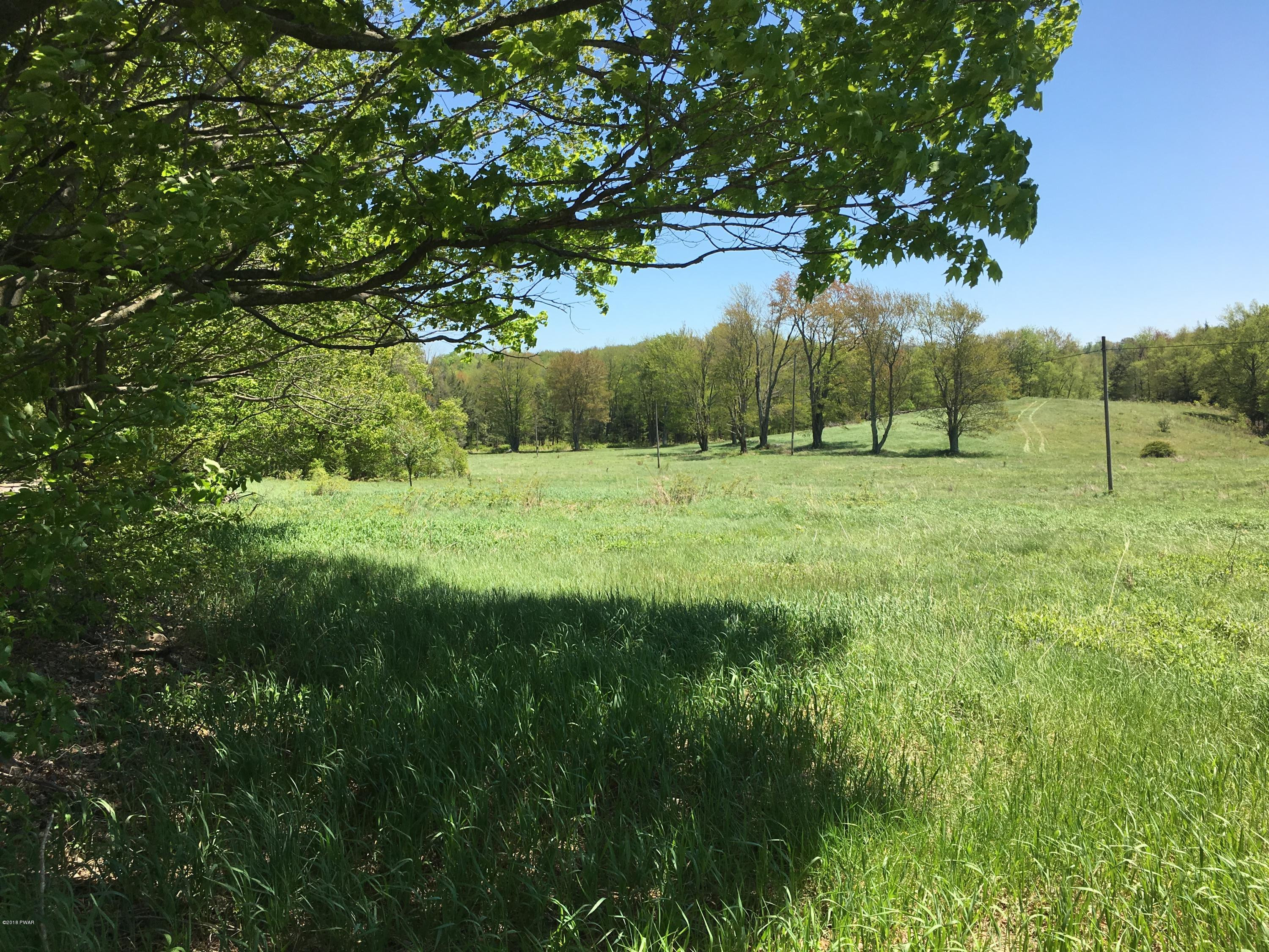 Dillmuth Road Honesdale, PA 18431 - Photo 6 of 6
