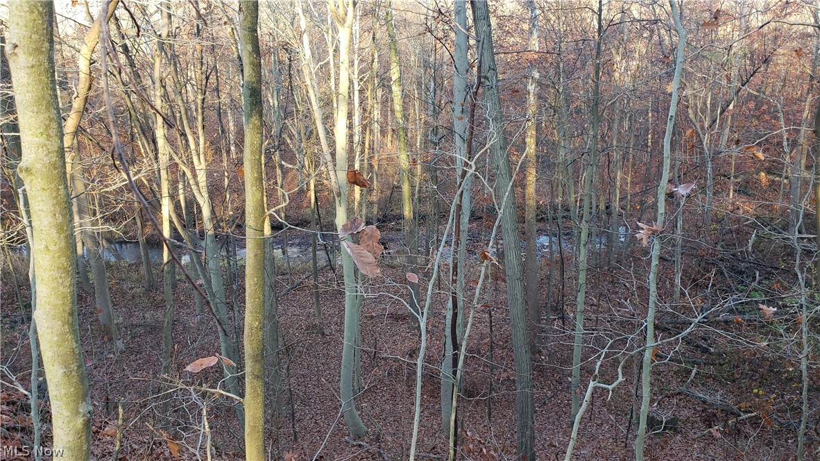 5 State Rte 5 Route Ravenna, OH 44266 - Photo 9 of 9 Gallery Image 9