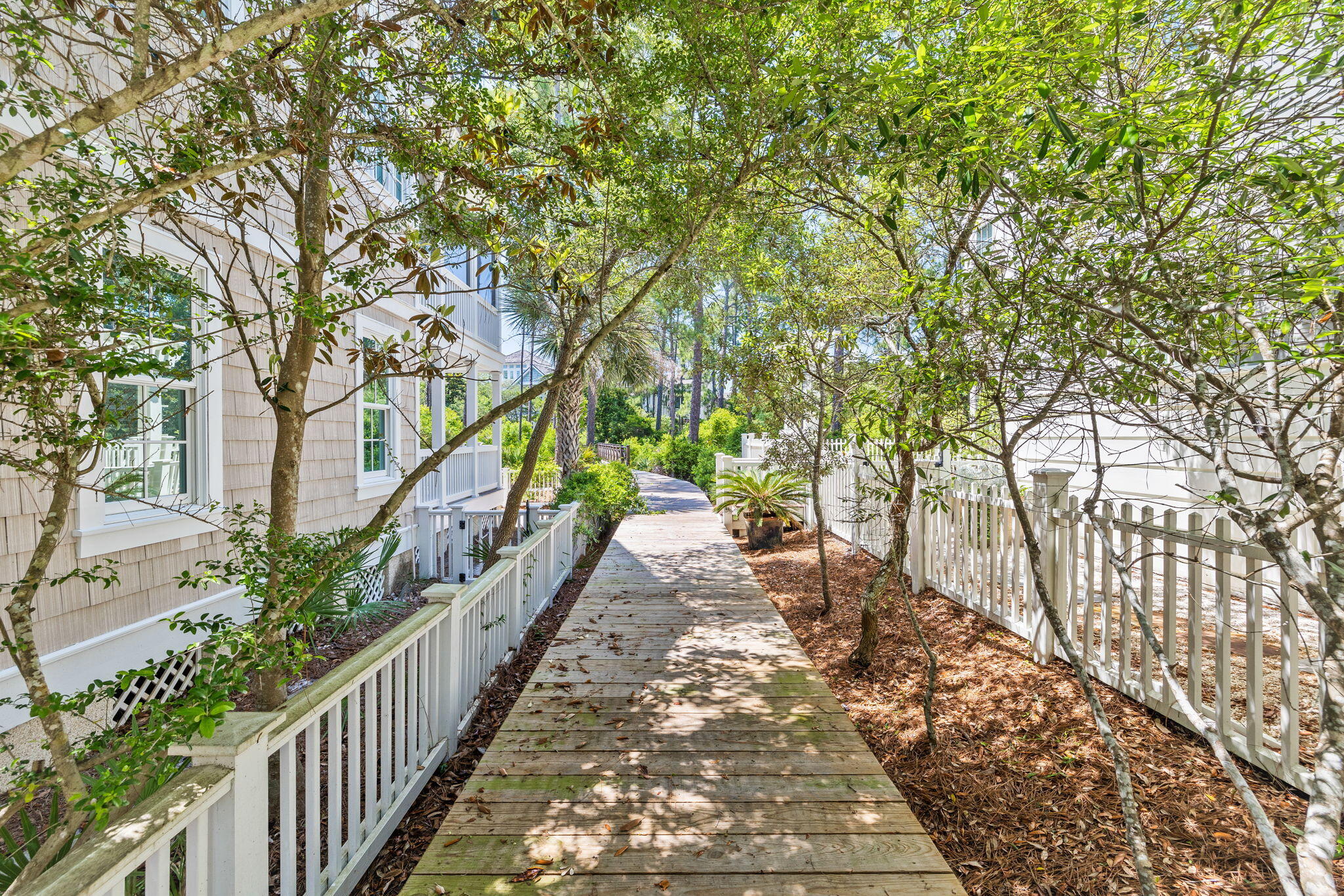 38 Shingle Lane Inlet Beach, FL 32461 - Photo 68 of 94 a view of a pathway of a house with large tree