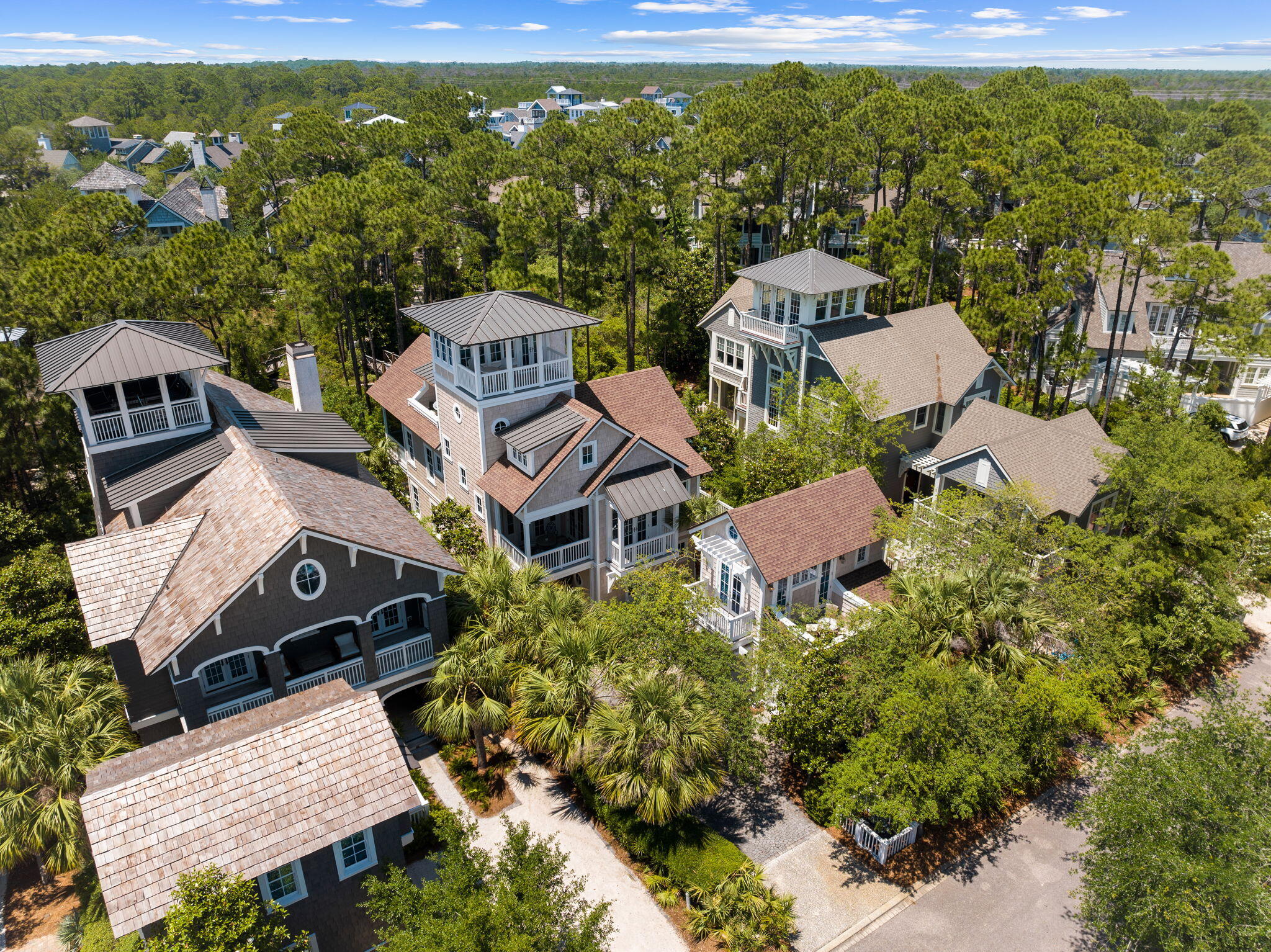 38 Shingle Lane Inlet Beach, FL 32461 - Photo 85 of 94 an aerial view of a house with a garden