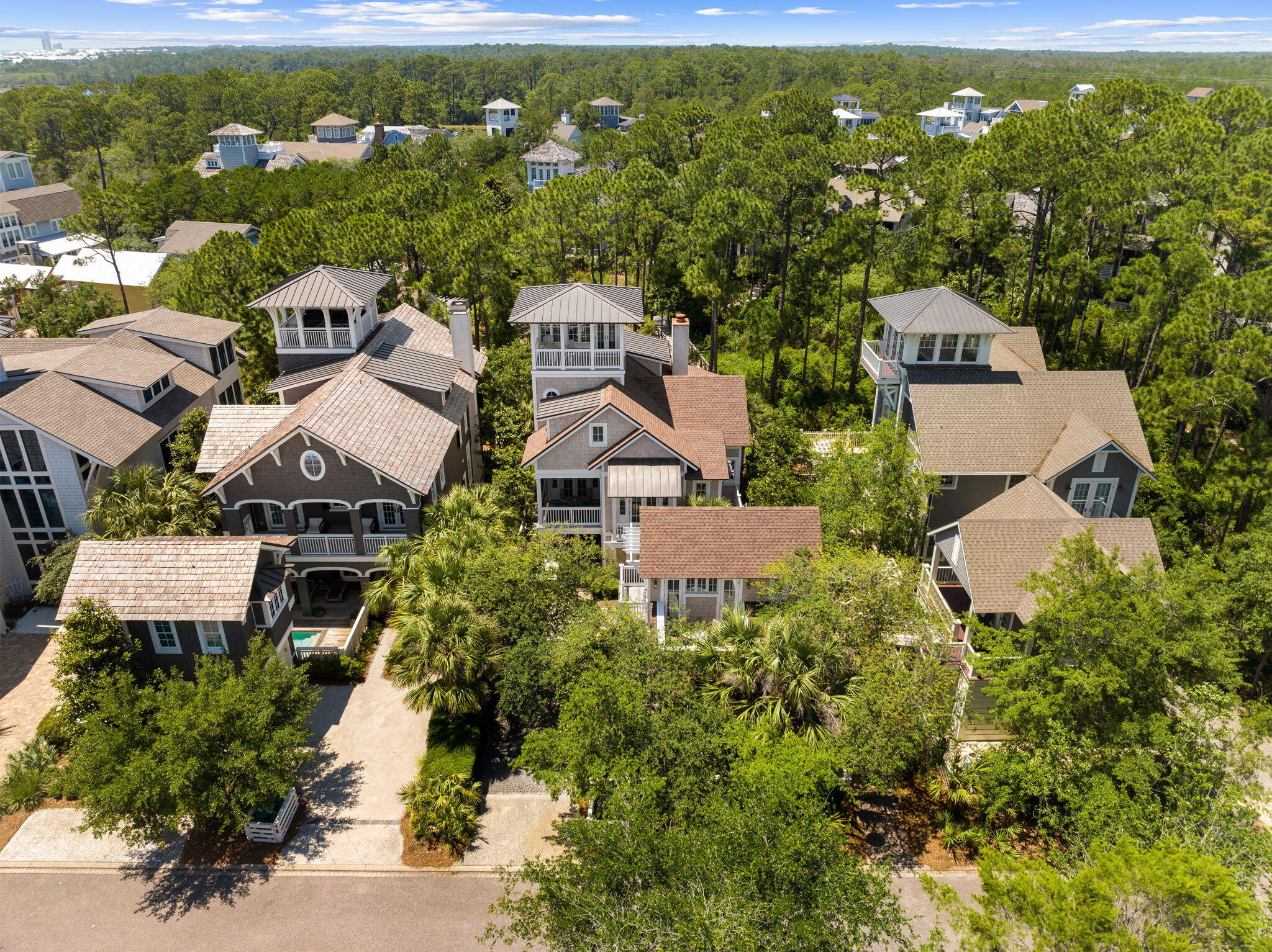 38 Shingle Lane Inlet Beach, FL 32461 - Photo 86 of 94 an aerial view of residential houses with outdoor space and trees