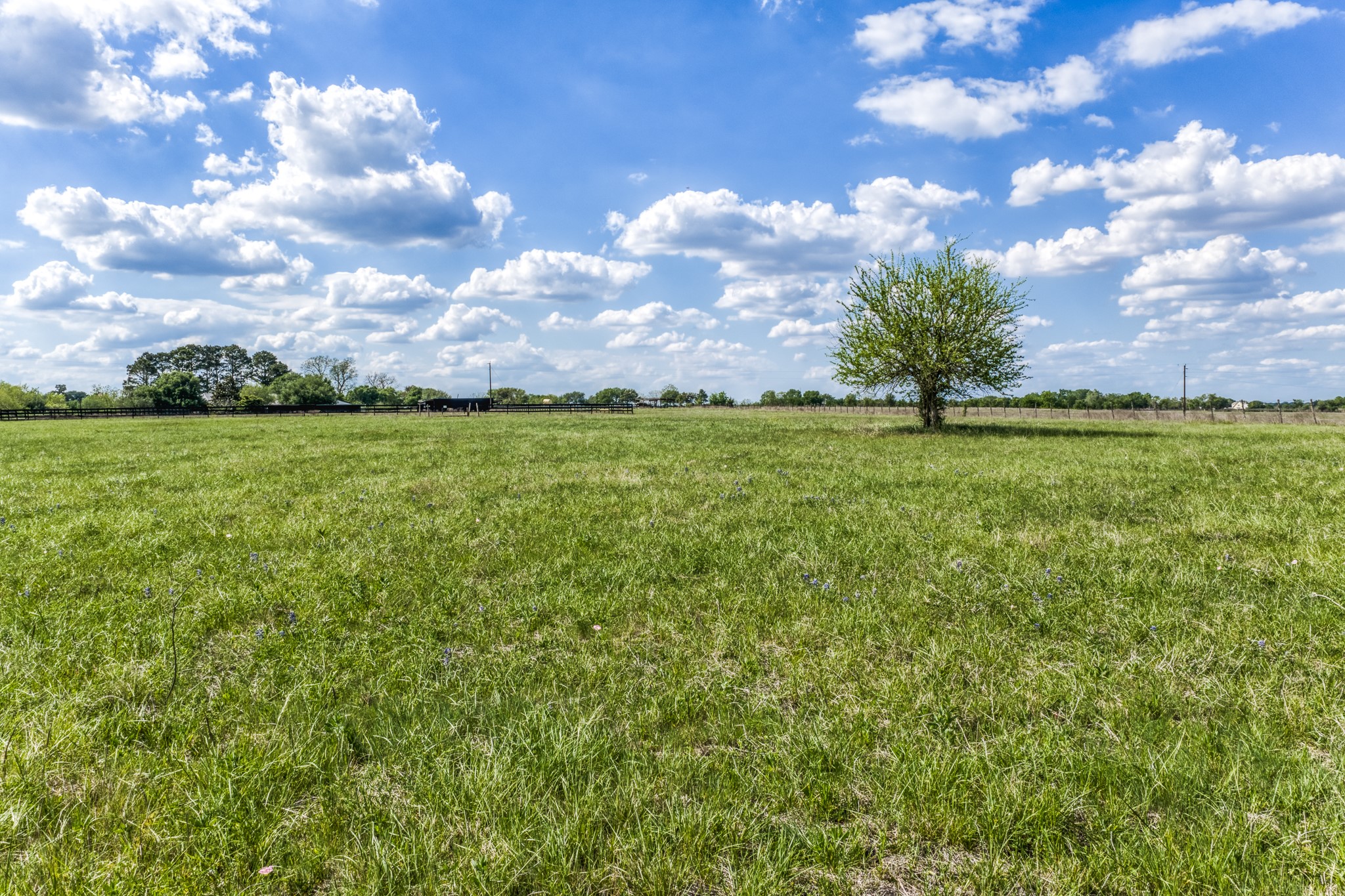 Tbd Krueger Road Washington, TX 77880 - Photo 12 of 26 a view of a big yard with a house in the background